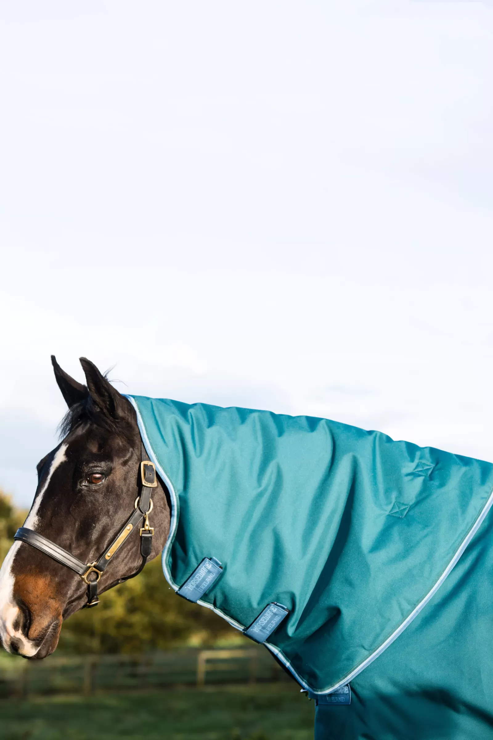 horseware Amigo Bravo 12 Plus Turnout Rug, 400G> Medium & Heavyweight Turnout Rugs