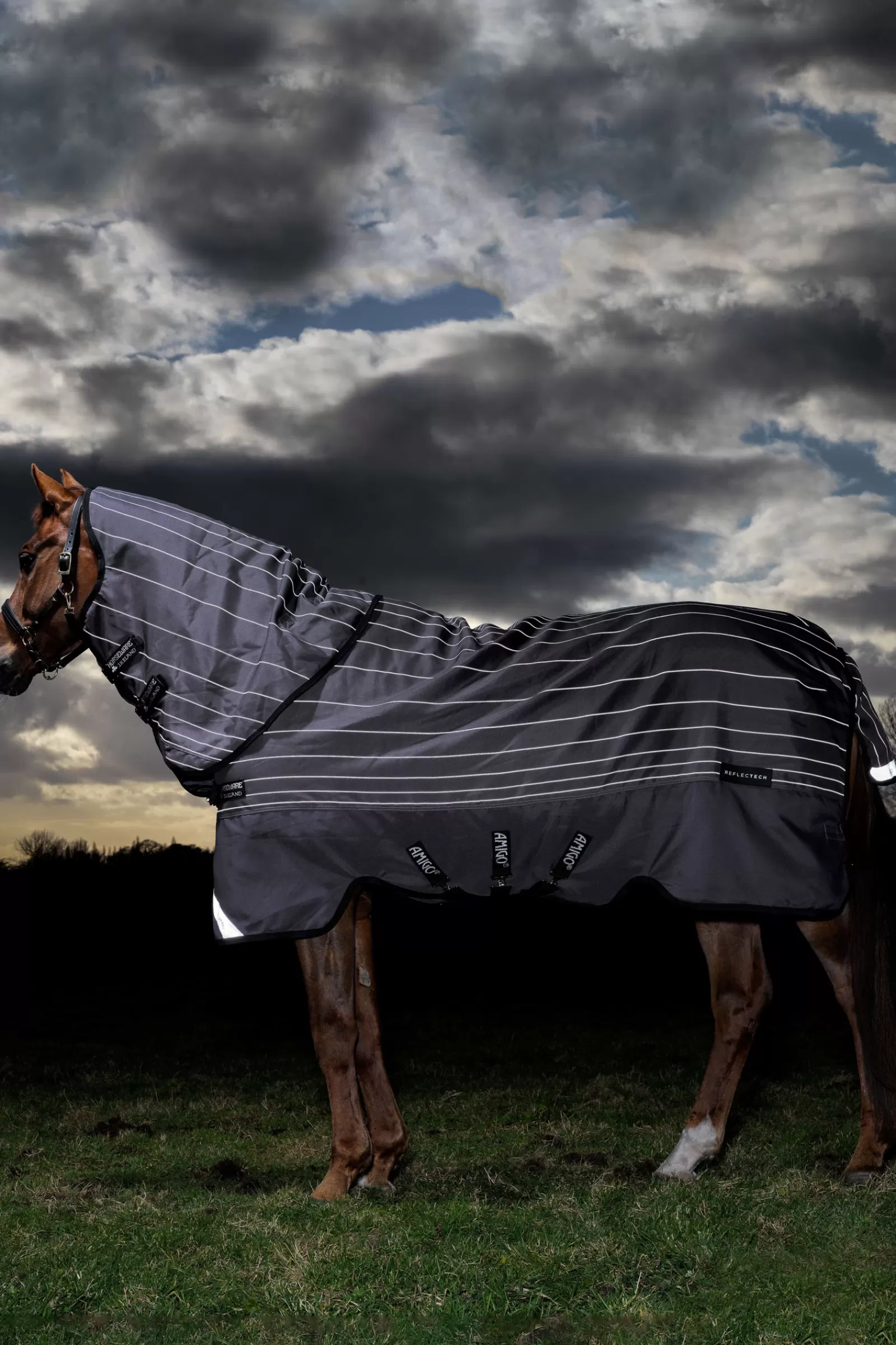 horseware Amigo Bravo 12 Reflectech Plus Turnout Rug With Detachable Neck, 100G> Lightweight Turnout Rugs