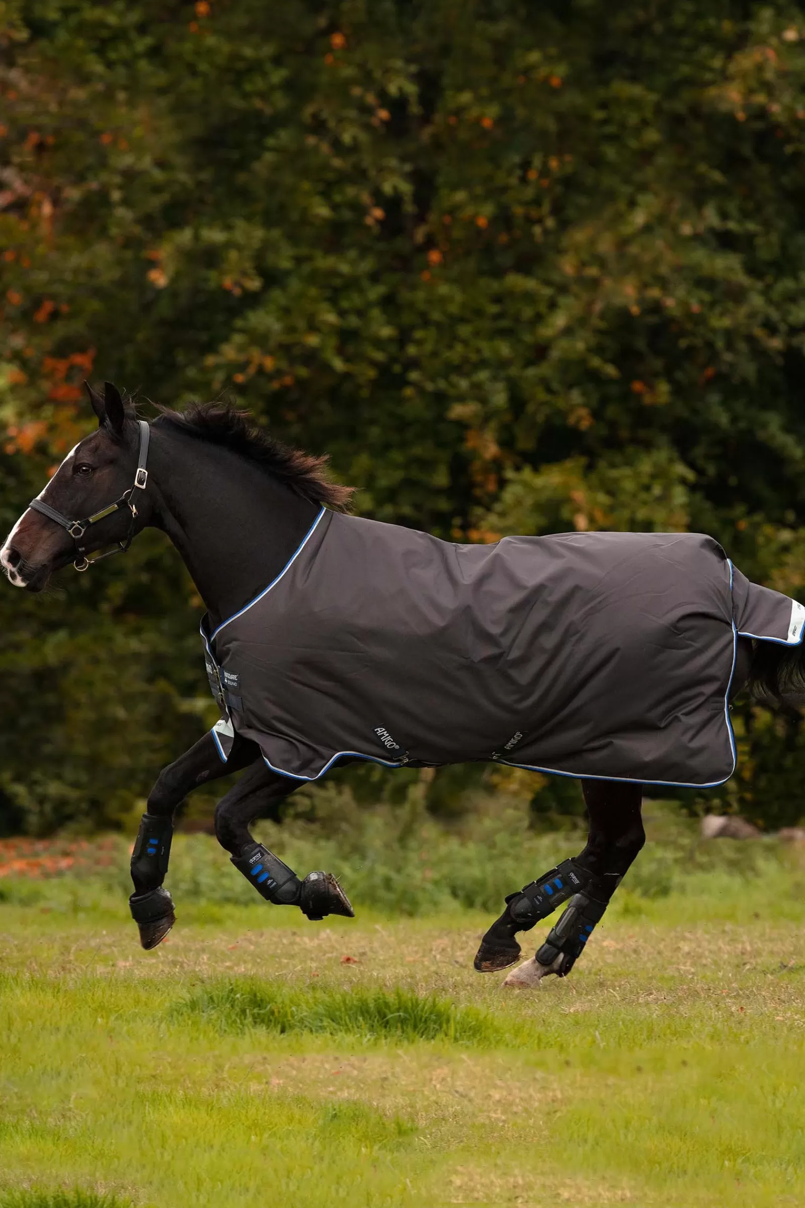 horseware Amigo Bravo 12 Turnout Rug, 100G> Lightweight Turnout Rugs