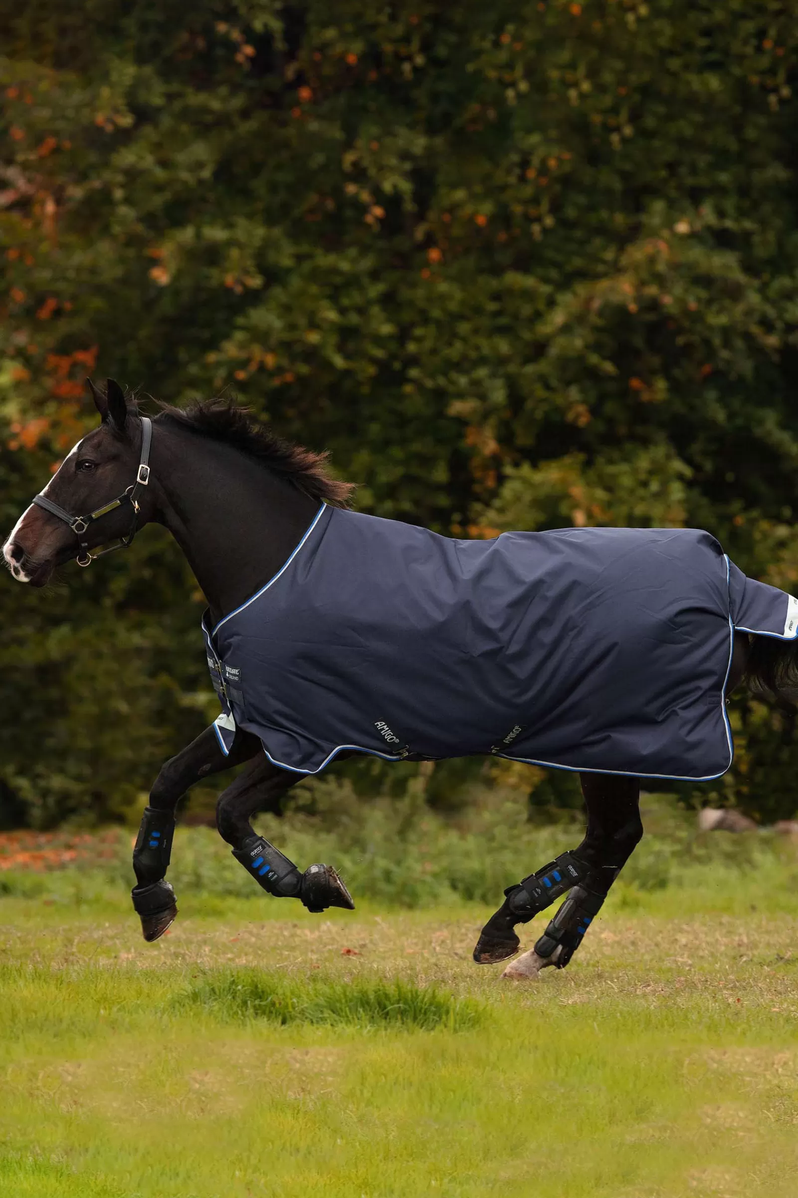 horseware Amigo Bravo 12 Winterdecke, 250G> Medium & Heavyweight Turnout Rugs