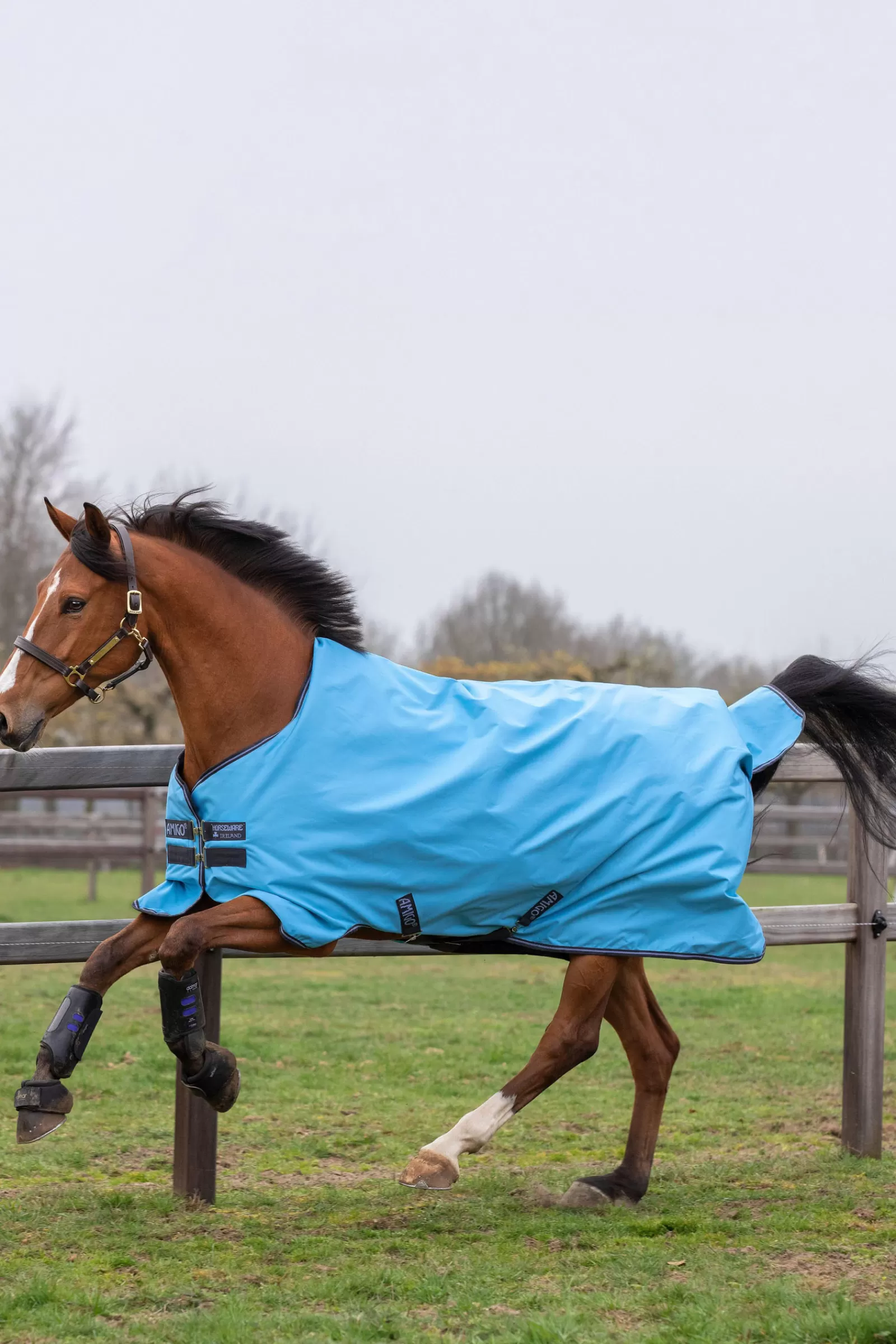 horseware Amigo Hero 900 T/O Lite Turnout Rug, 0G> Lightweight Turnout Rugs