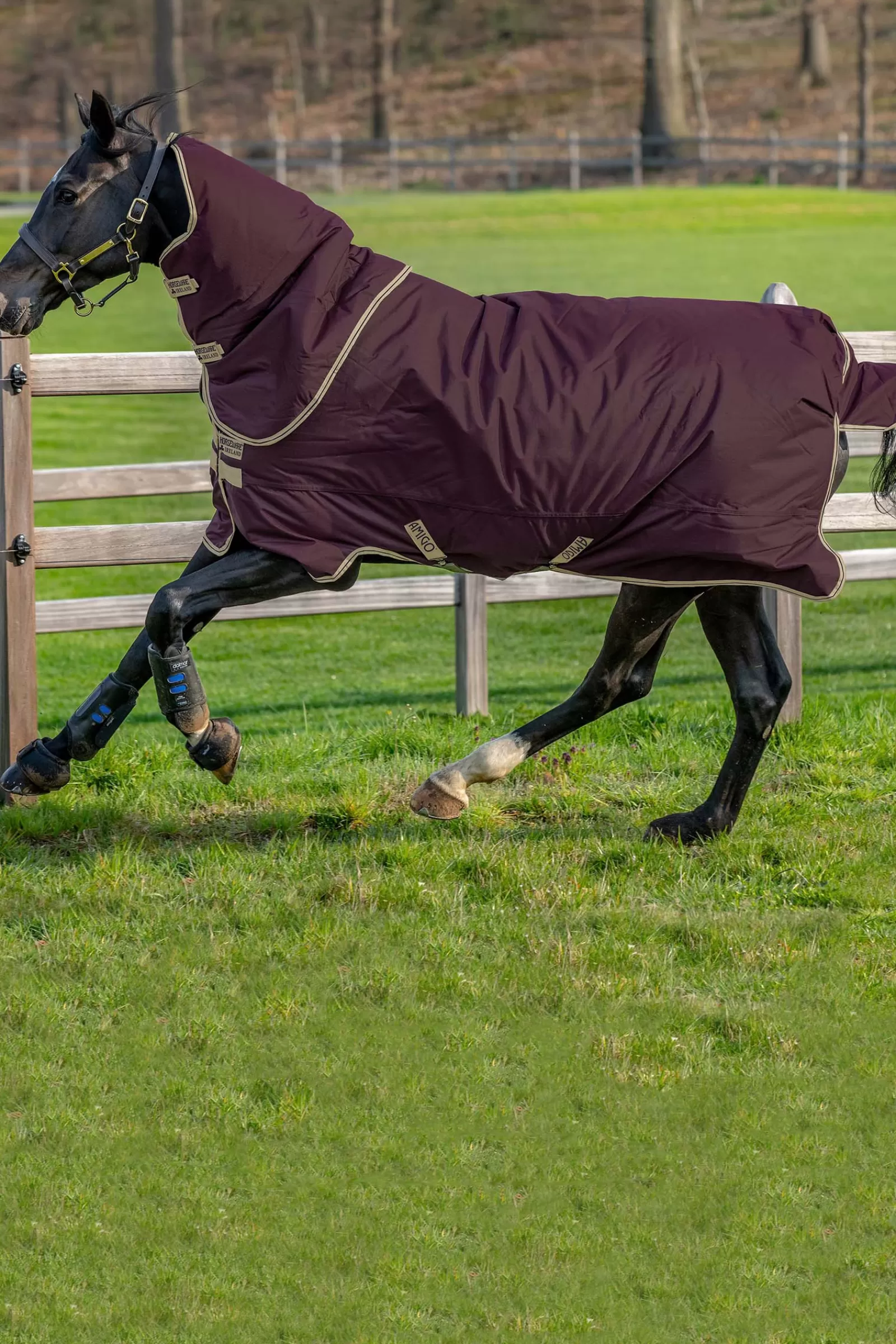 horseware Amigo Hero Ripstop Plus Turnout With Detachable Hood, 0G> Lightweight Turnout Rugs