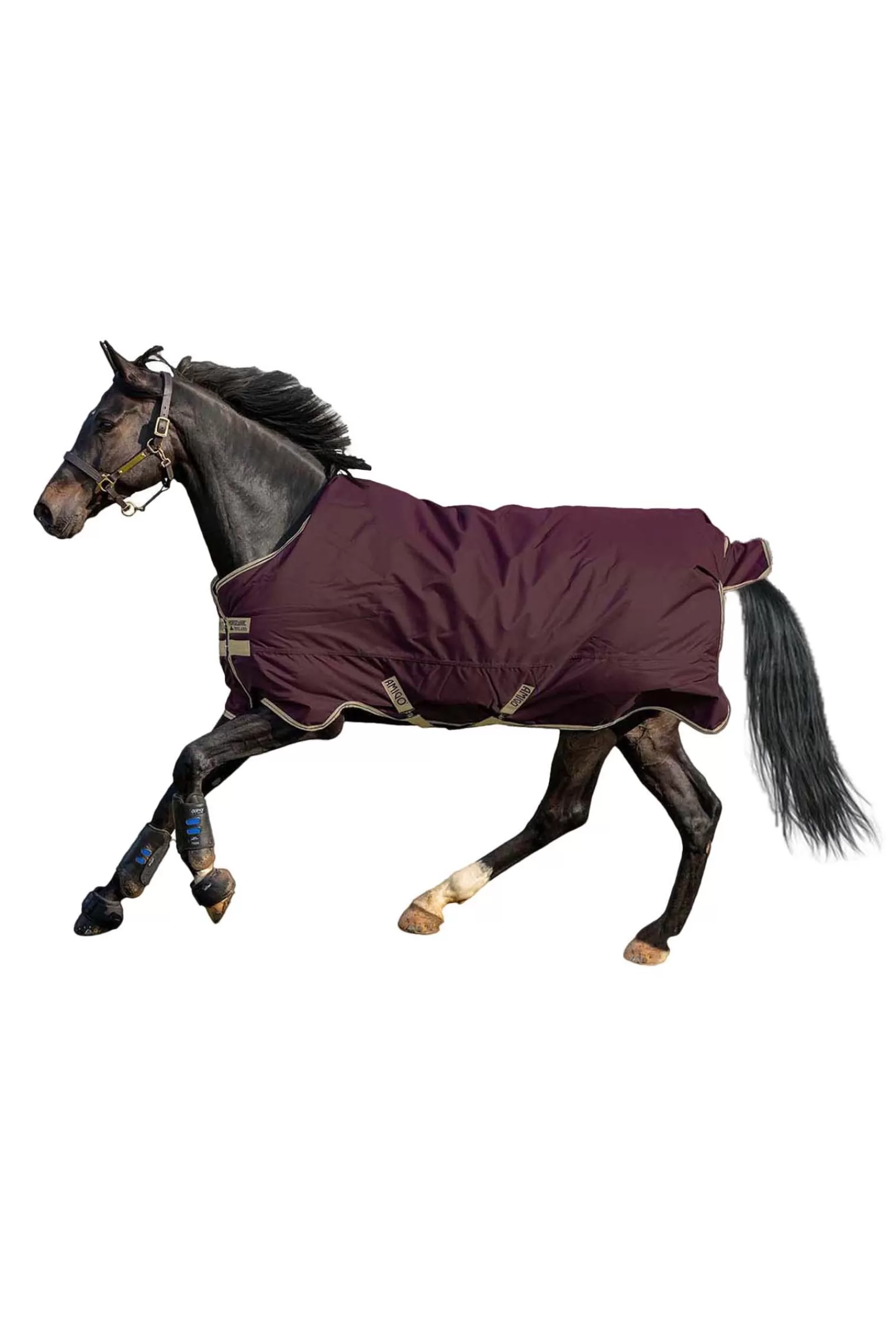 horseware Amigo Hero Ripstop Turnout Rug, 0G> Lightweight Turnout Rugs