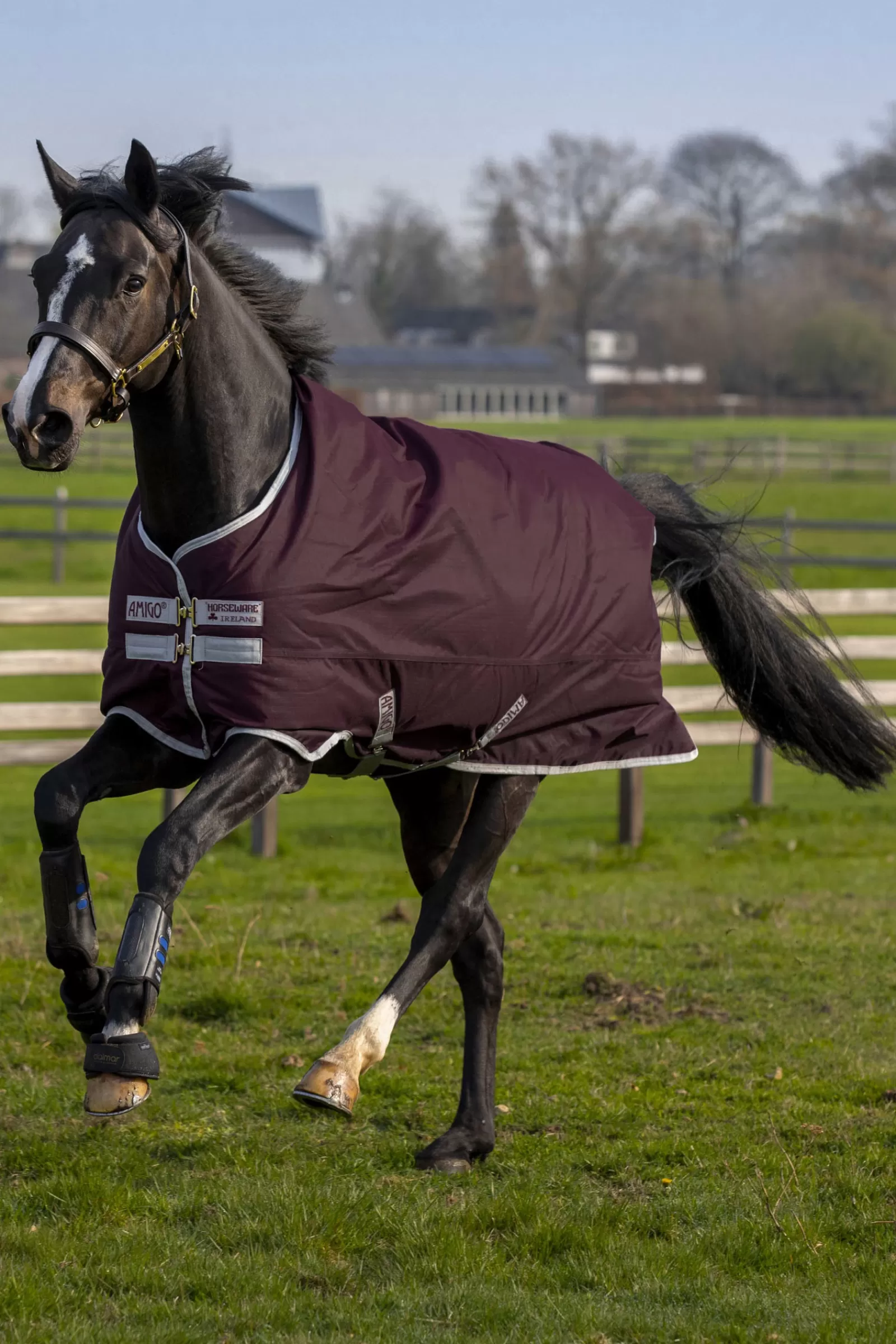 horseware Amigo Hero Ripstop Turnout Rug, 50G> Lightweight Turnout Rugs