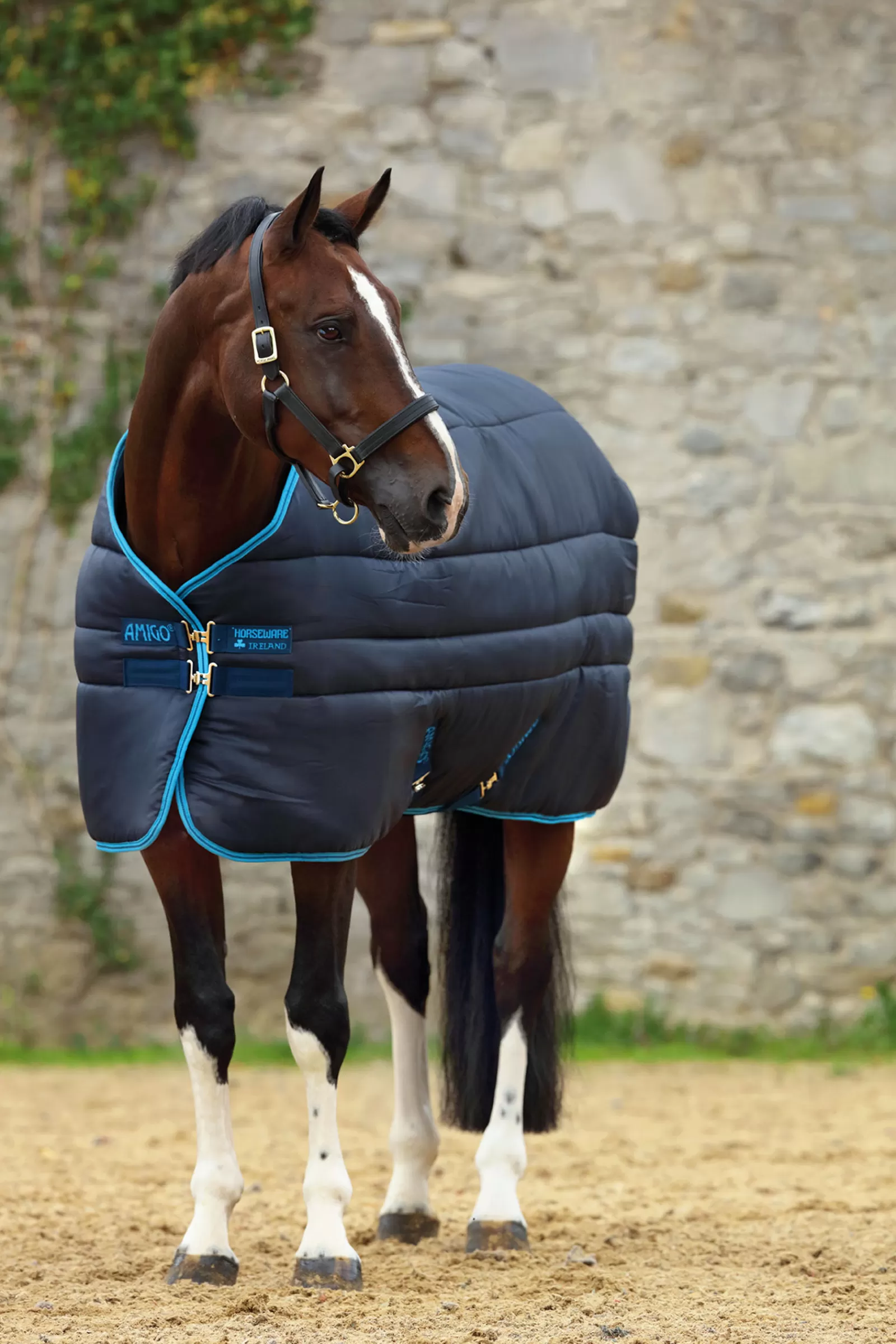 horseware Amigo Insulator Stable Rug With Detachable Neck, 550G> Stable Rugs & Liners