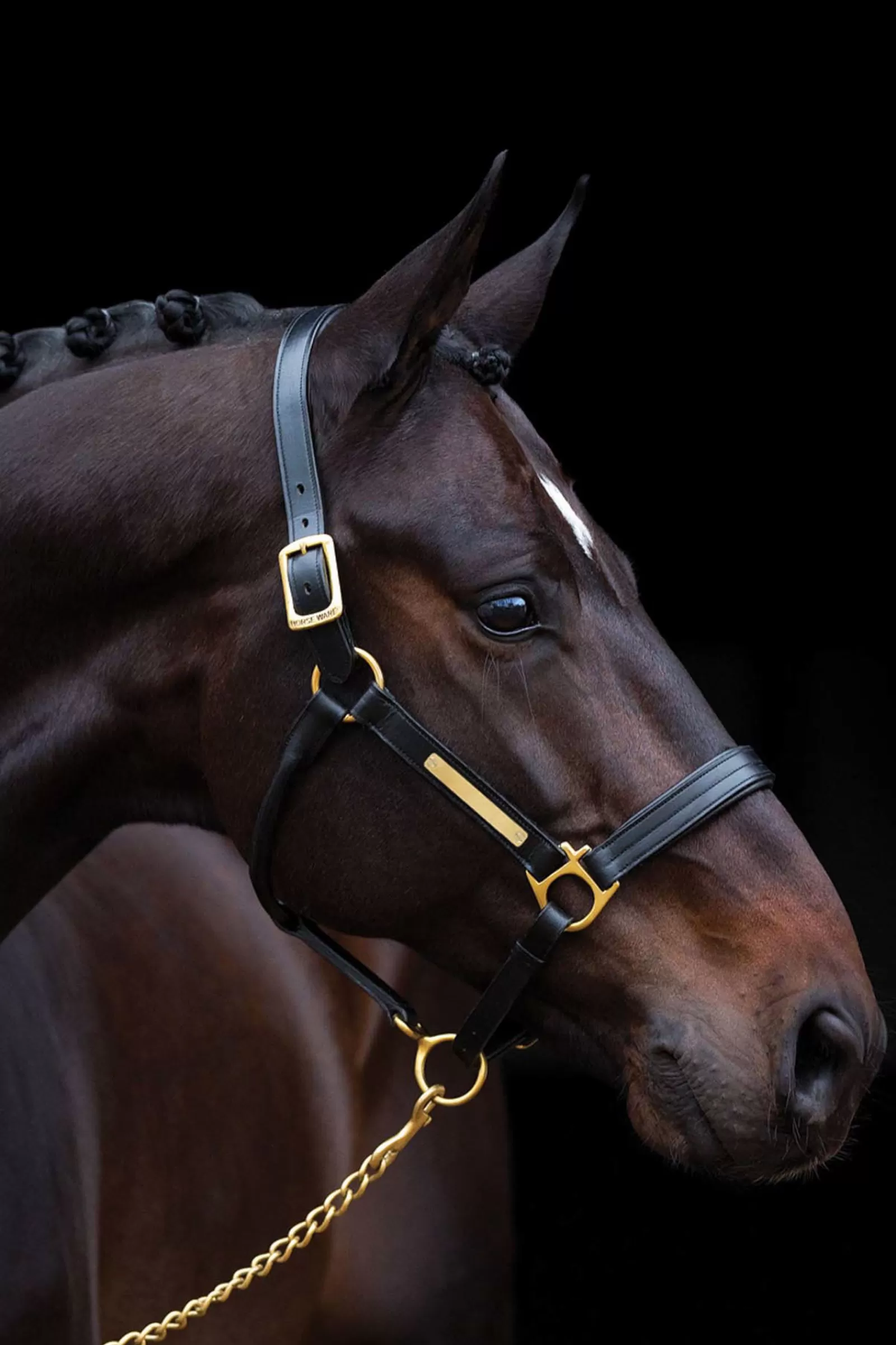 horseware Amigo Padded Head Collar> Headcollars & Halters