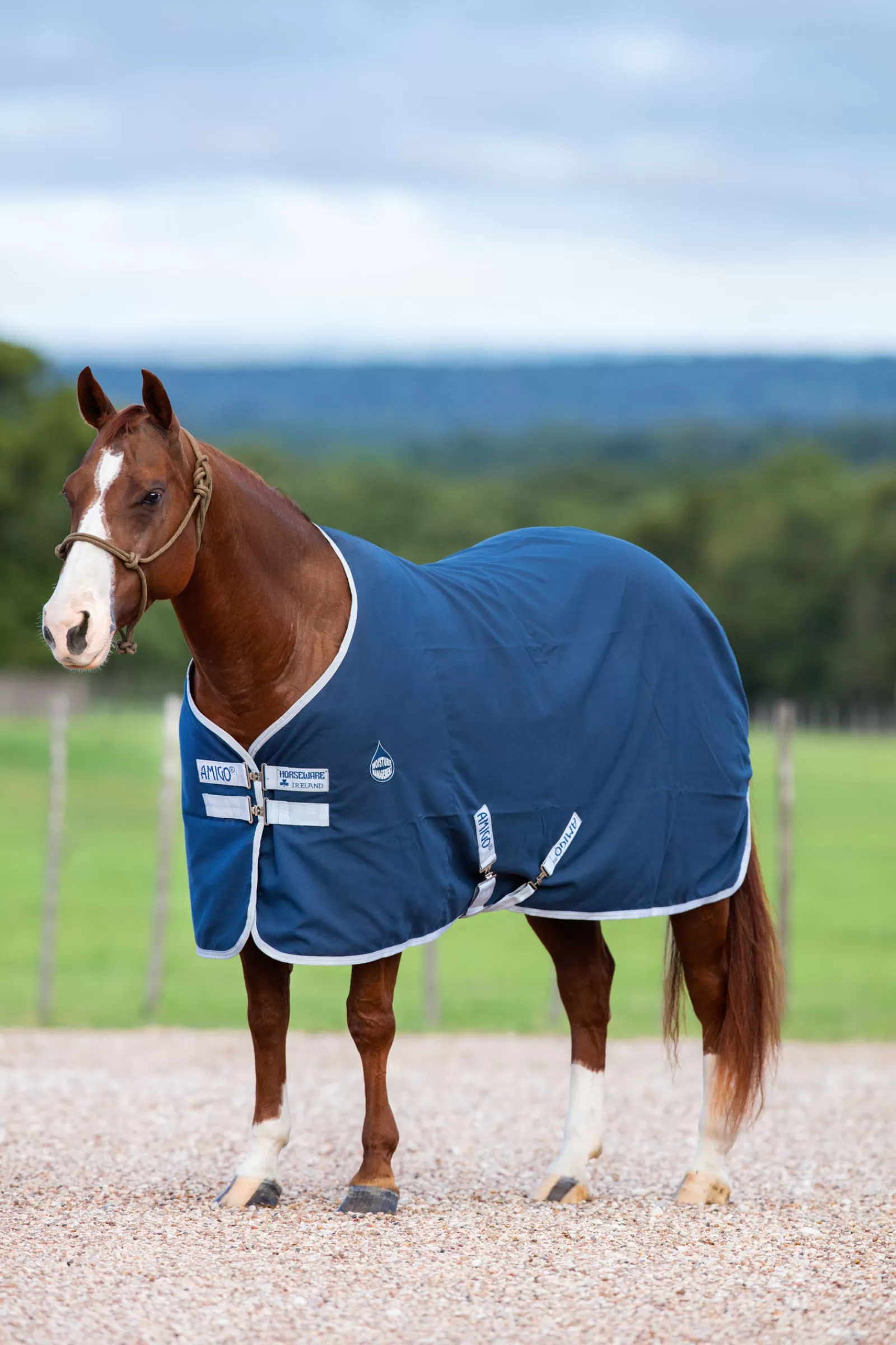 horseware Amigo Stable Rug, 0G> Stable Rugs & Liners