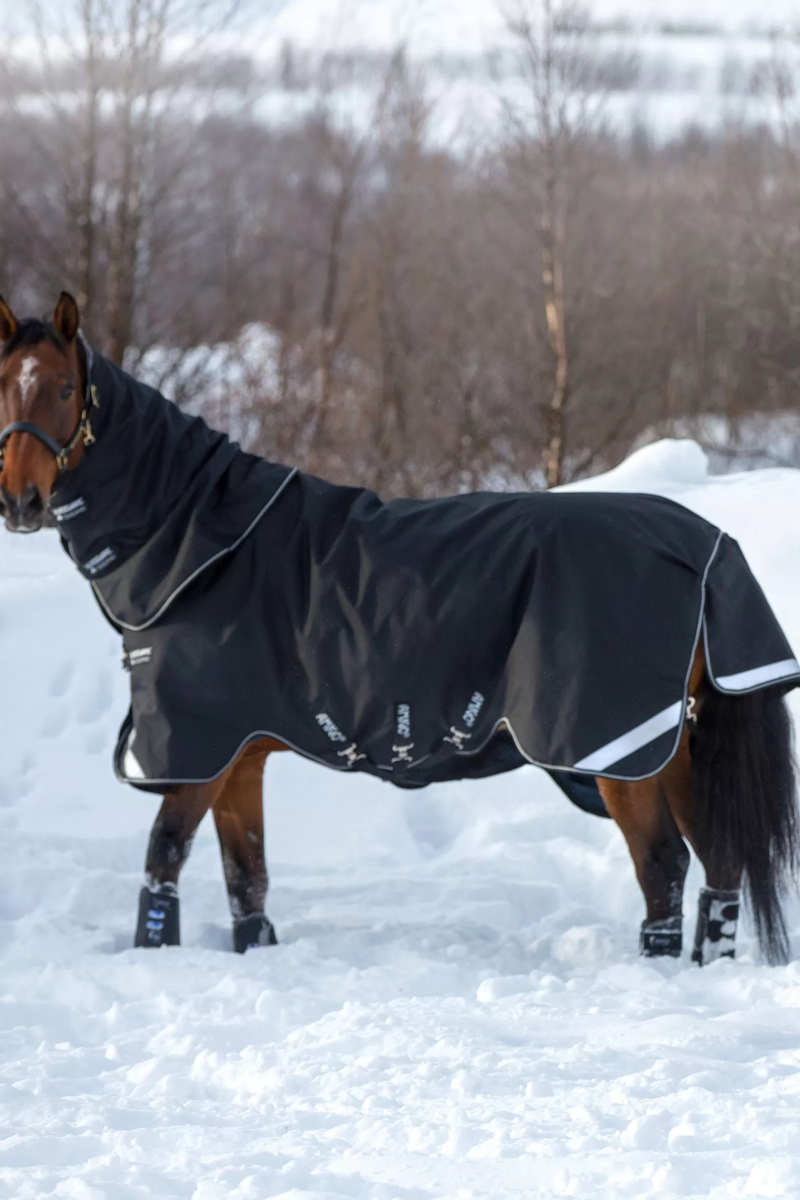 horseware Amigo Super Bravo Plus Turnout Rug Incl. Detachable Hood, 250G> Medium & Heavyweight Turnout Rugs
