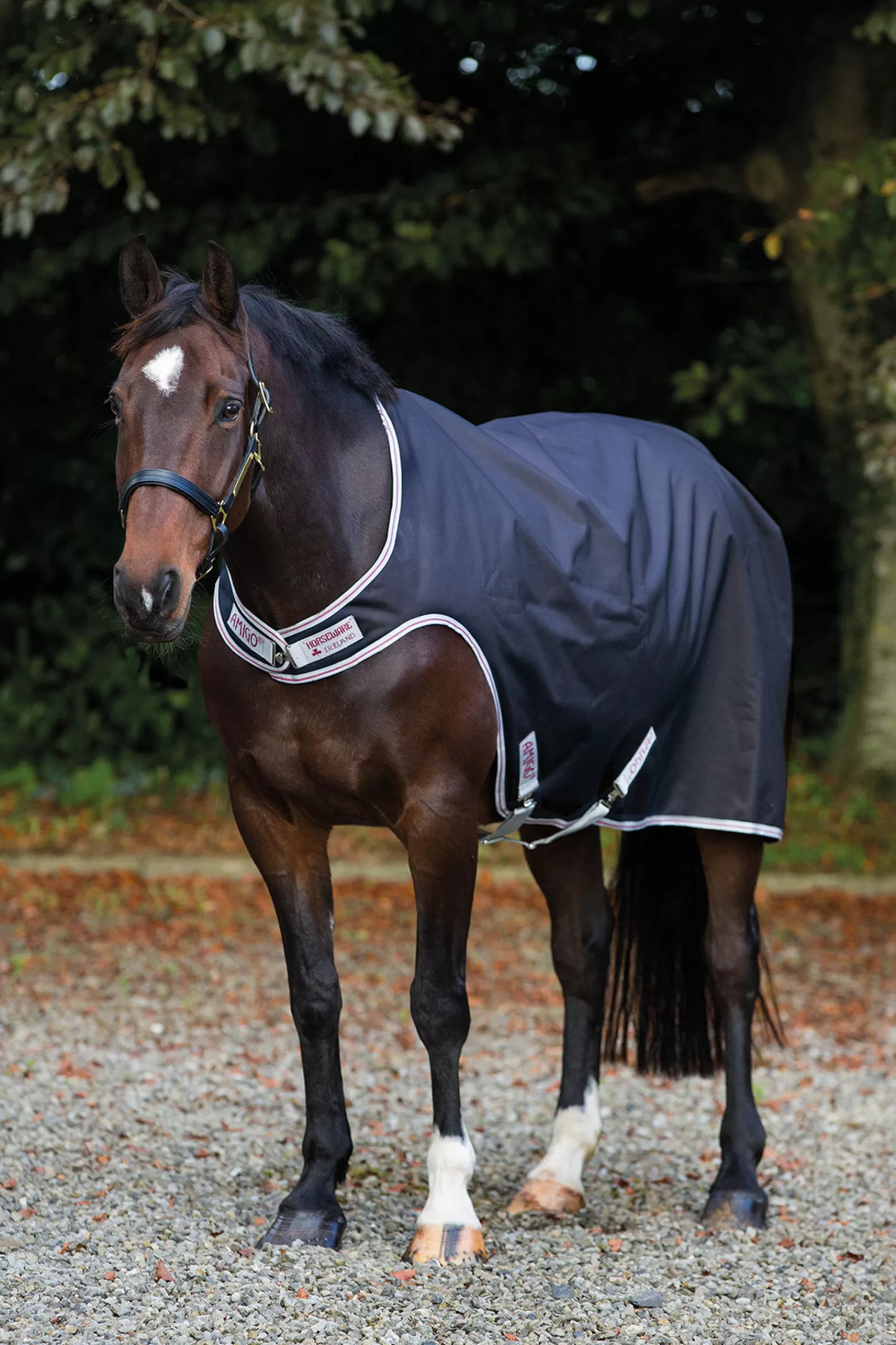 horseware Amigo Walker, 100G.> Exercise Sheets & Quarter Sheets