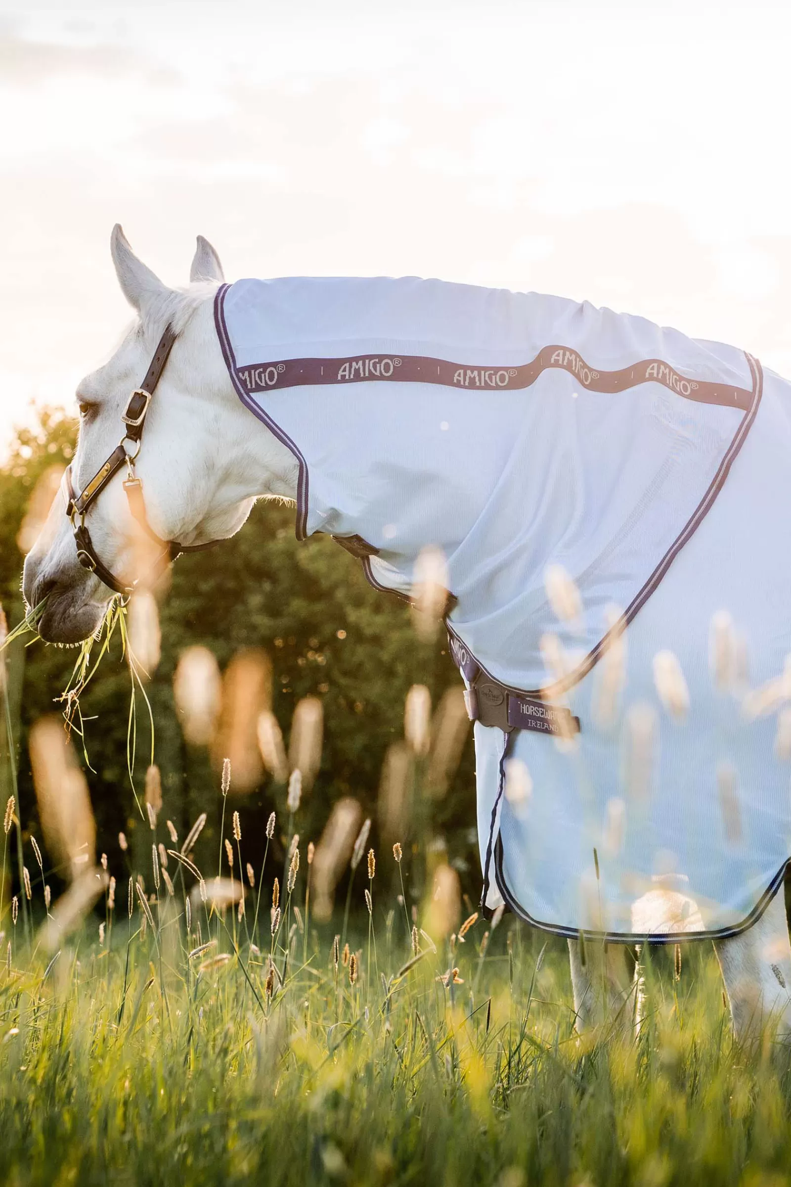 horseware Amigo Xl Bug Rug> Fly Rugs