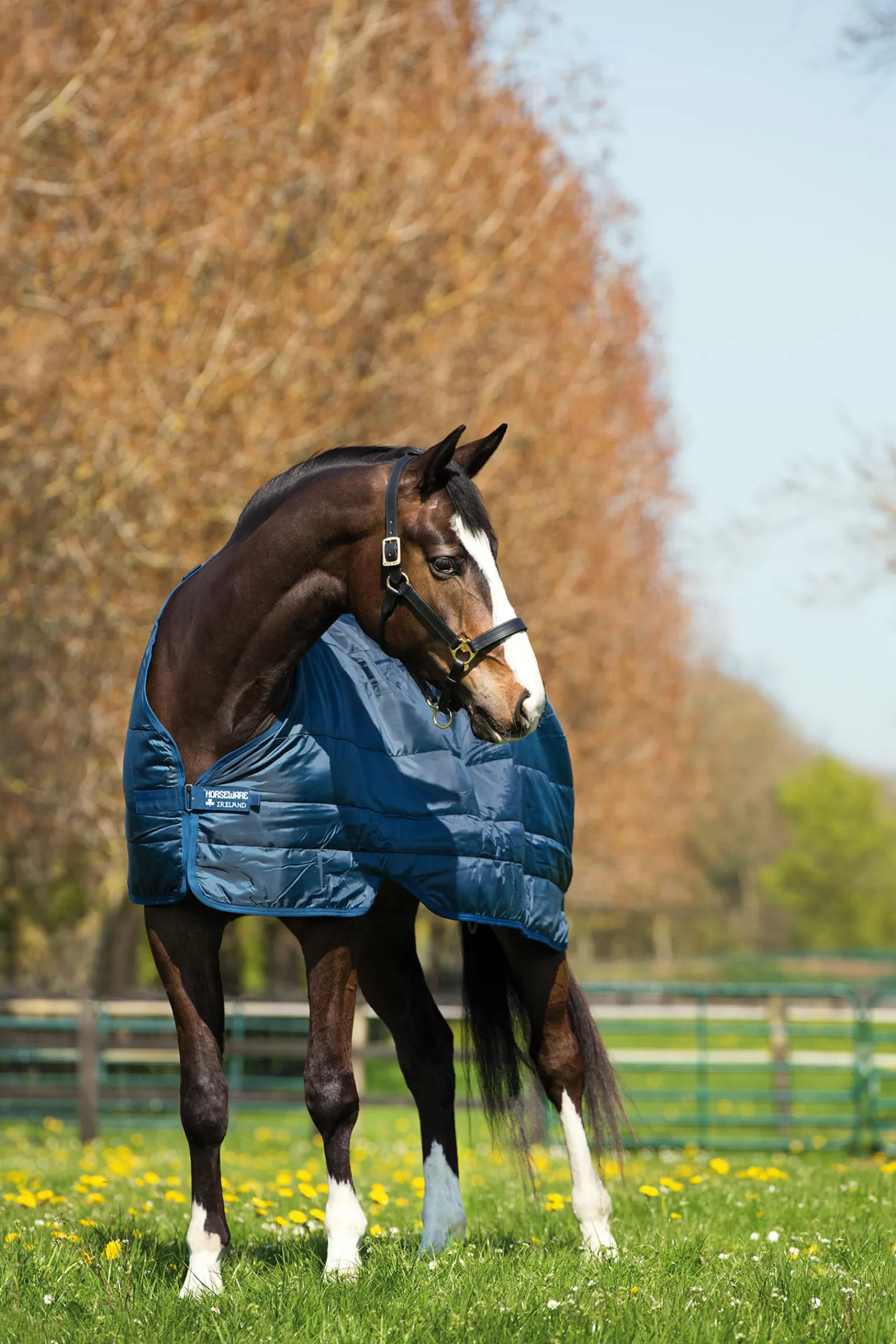 horseware Liner Under Rug, 100G> Stable Rugs & Liners