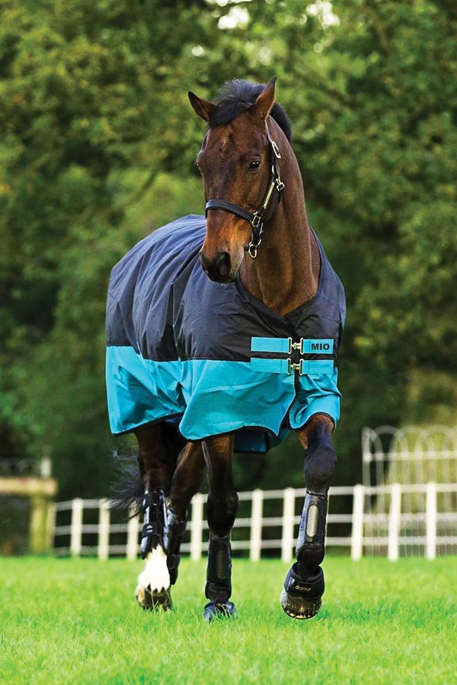 horseware Mio Turnout, 0G> Lightweight Turnout Rugs