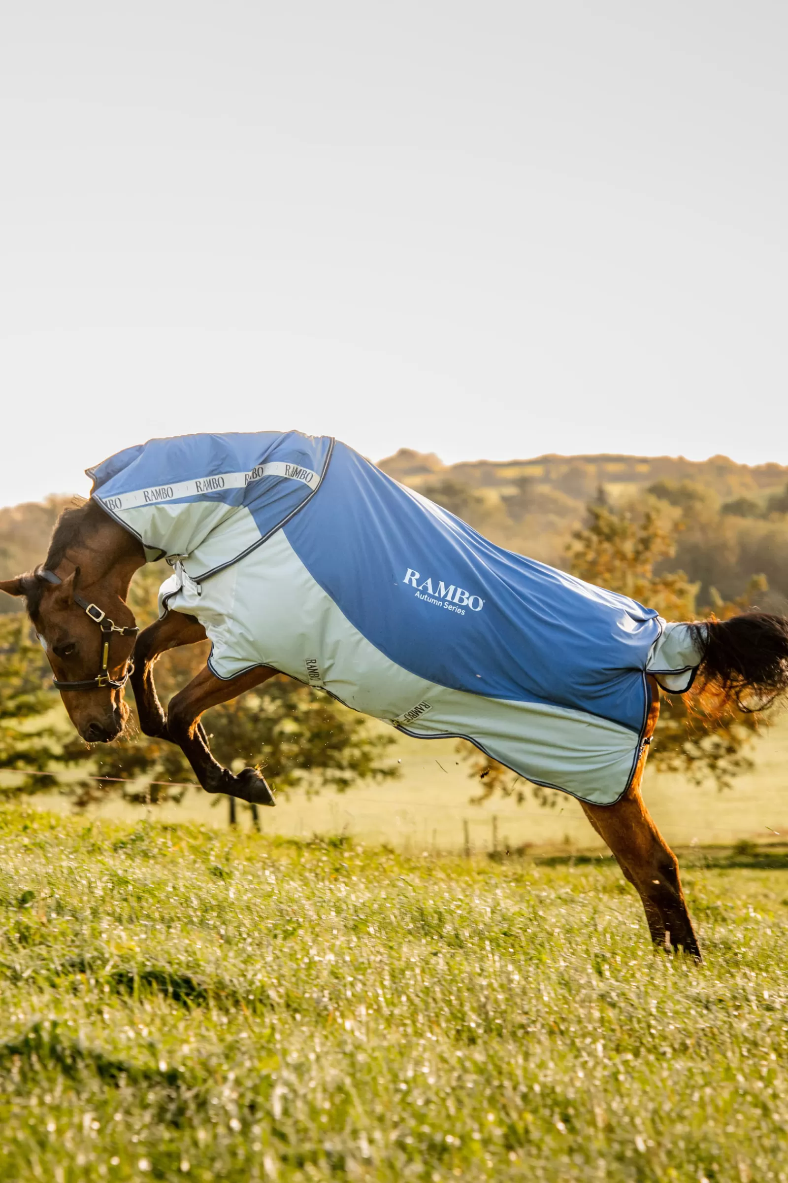 horseware Rambo Autumn Series> Lightweight Turnout Rugs