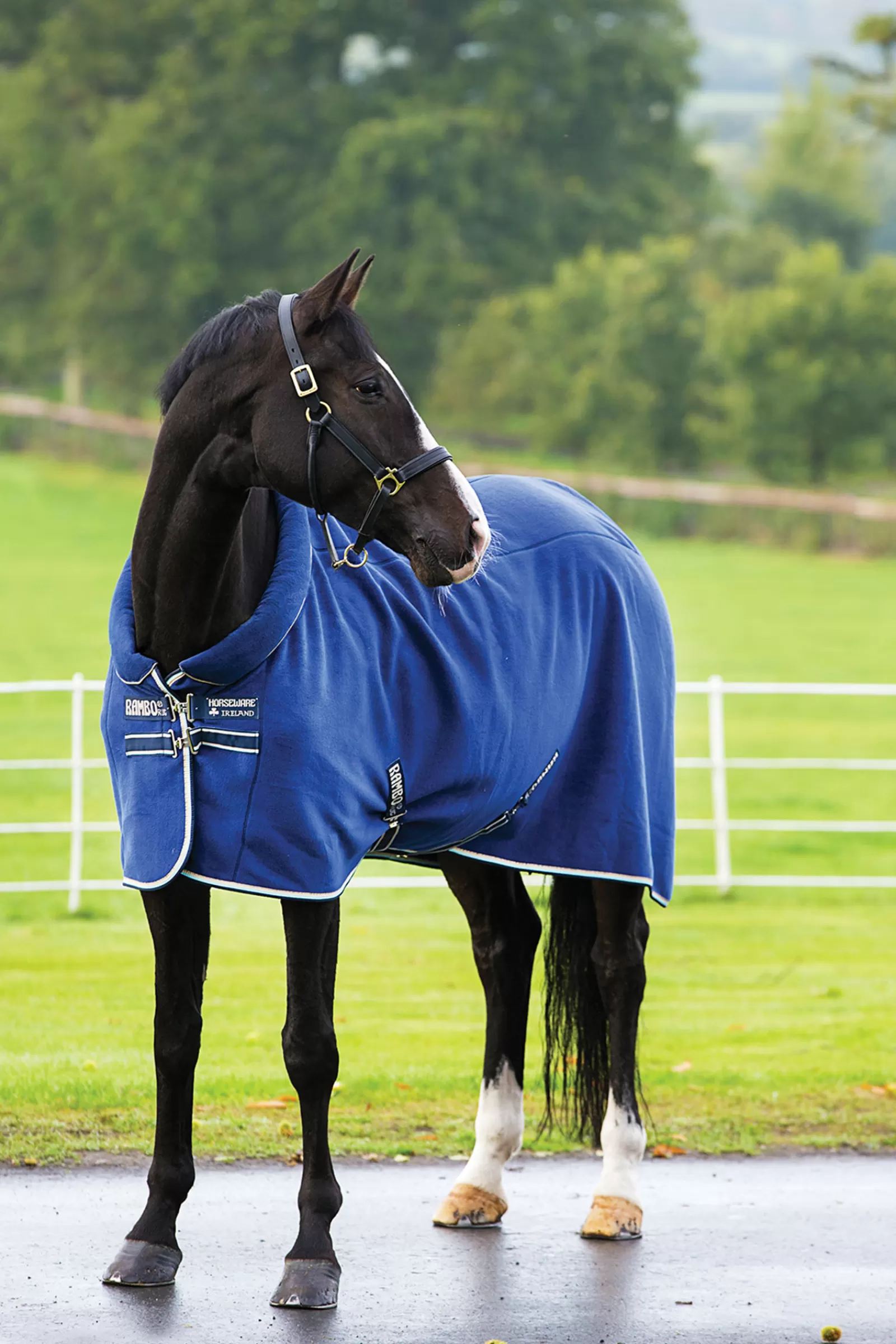 horseware Rambo Cosy Fleece Cooler> Fleece Horse Rugs & Cooler Rugs