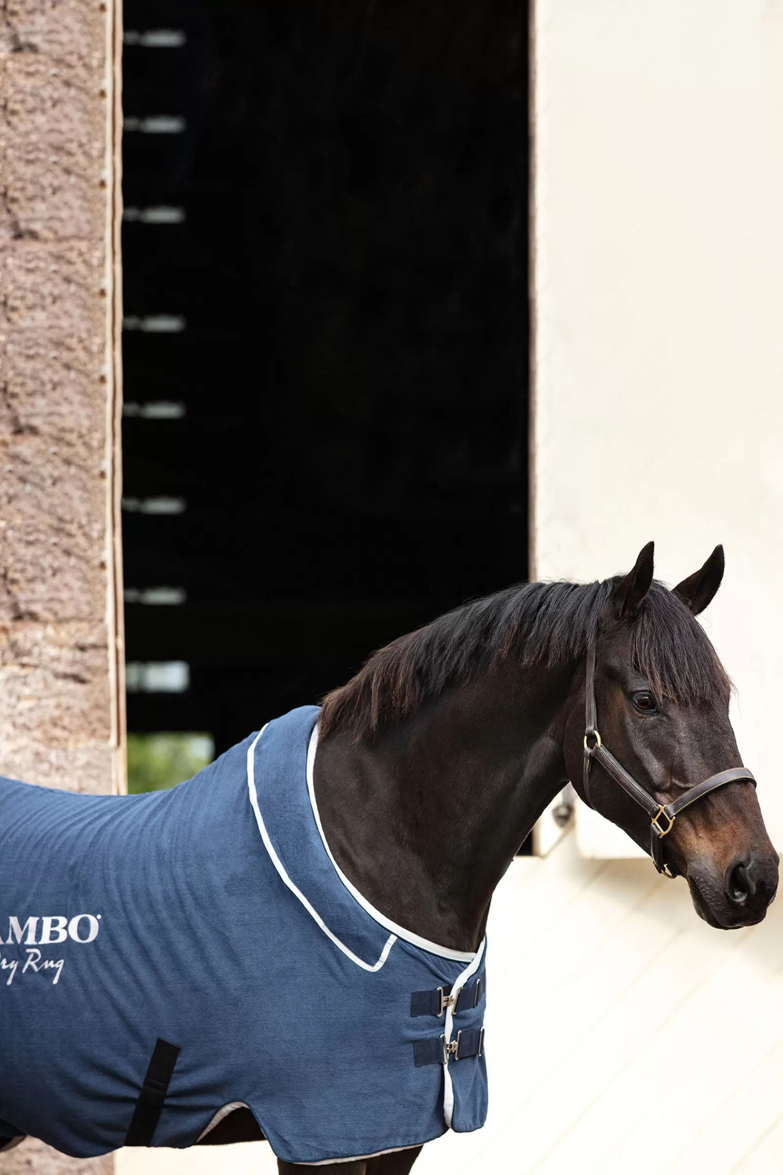 horseware Rambo Dry Cooler> Fleece Horse Rugs & Cooler Rugs