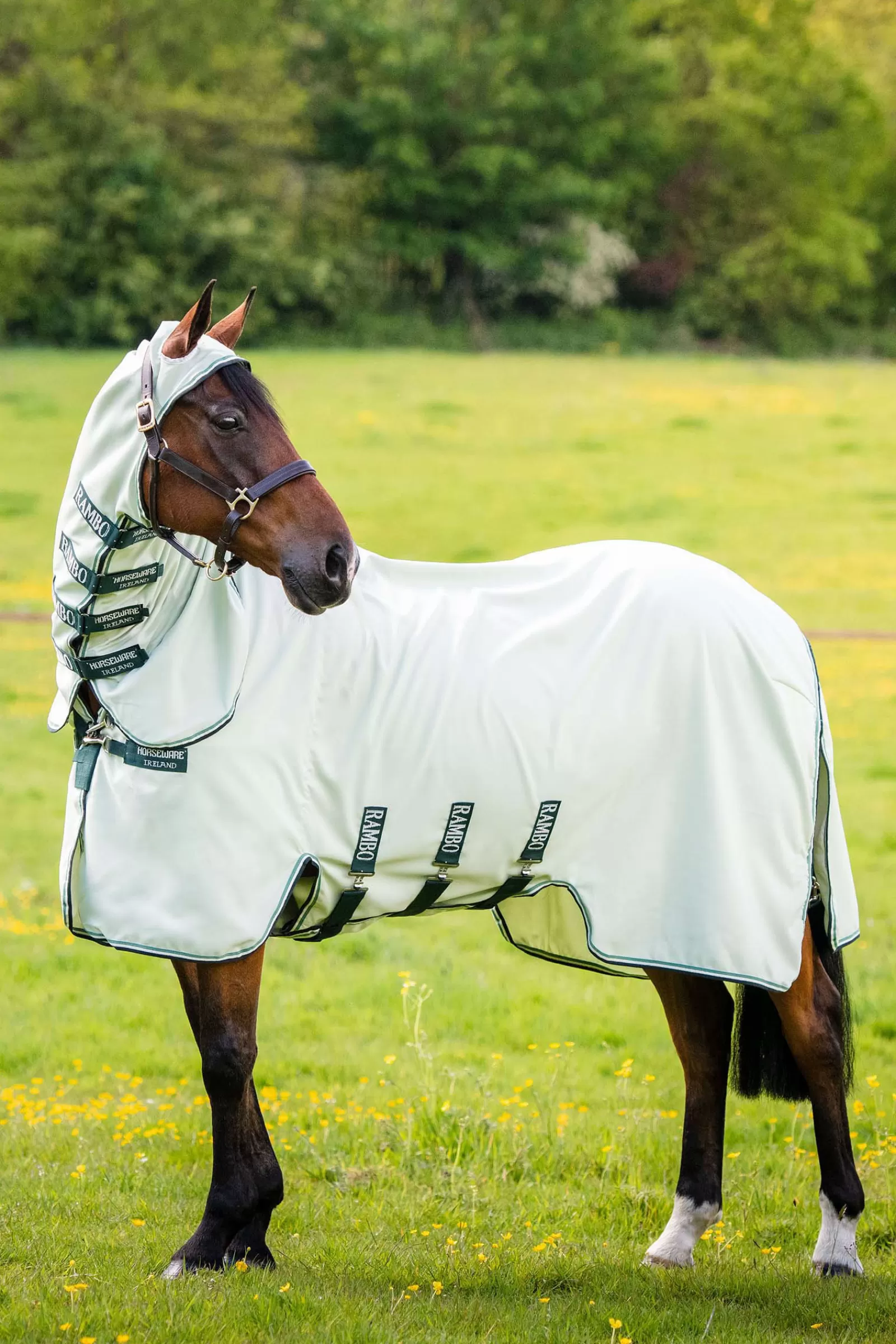 horseware Rambo Hoody> Fly Masks & Fringes