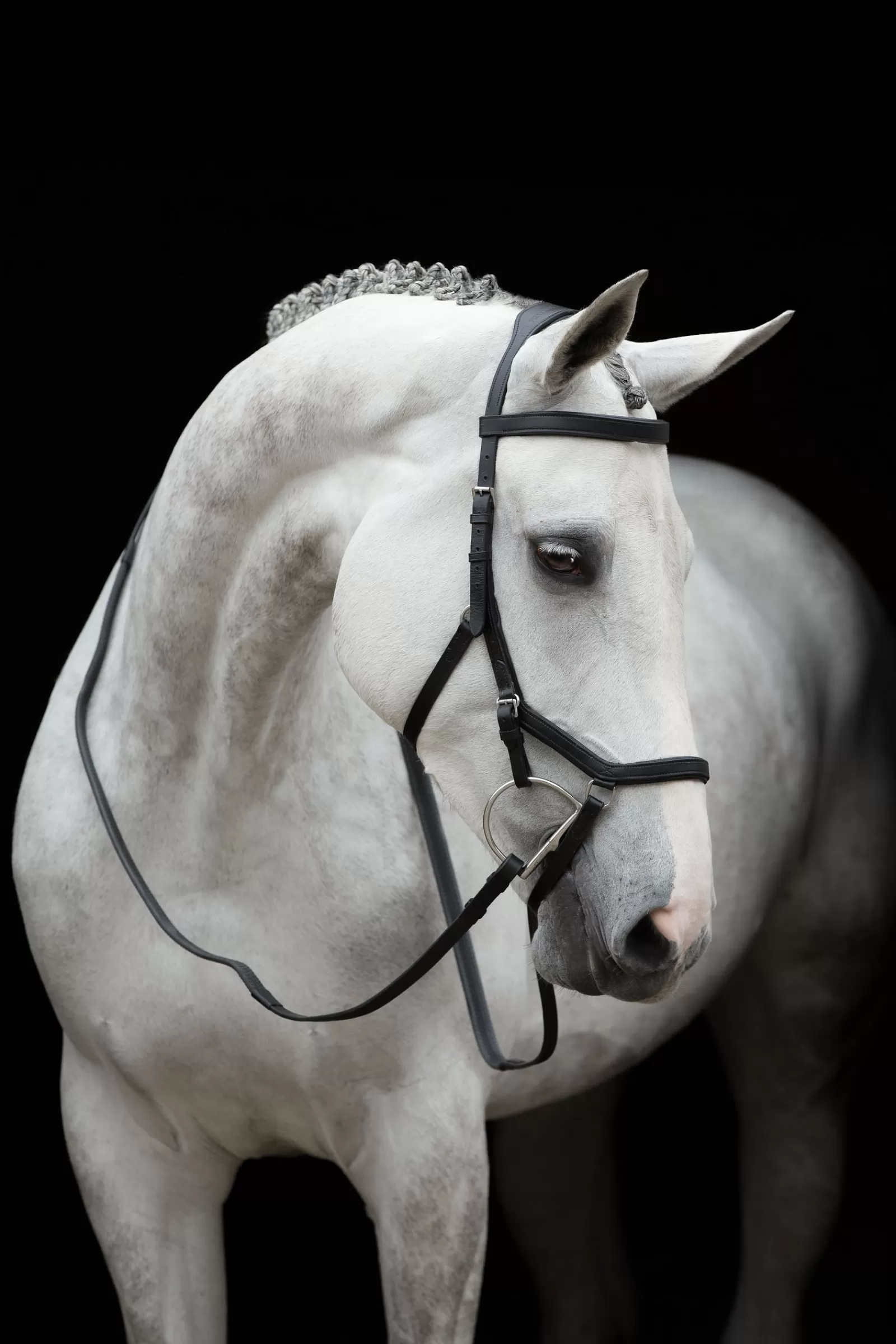 horseware Rambo Micklem Competition Bridle> Bridles & Nosebands