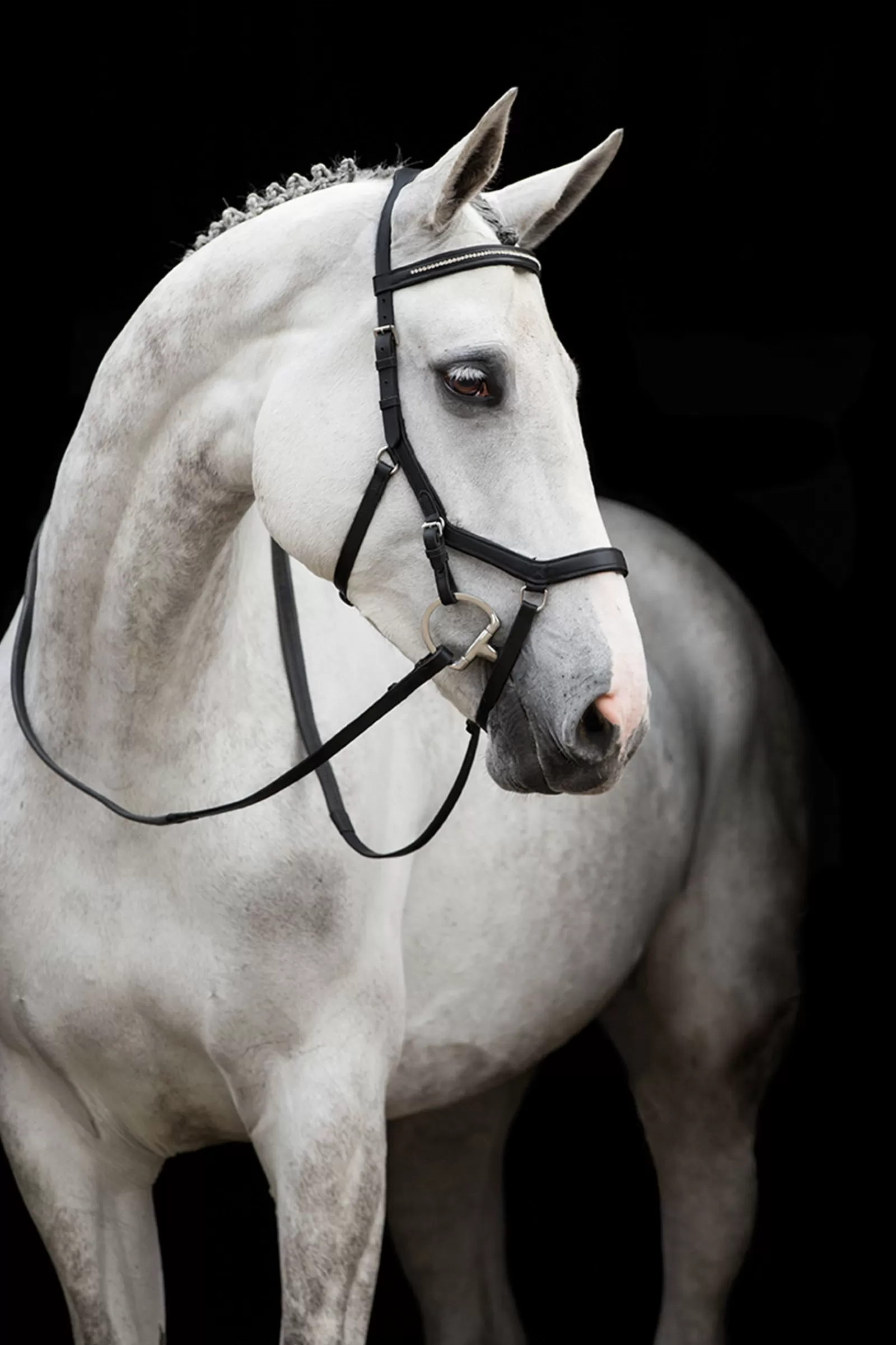 horseware Rambo Micklem Diamante Competition Bridle> Bridles & Nosebands