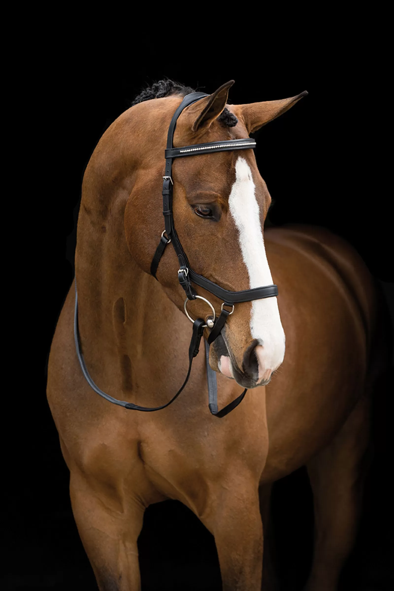 horseware Rambo Micklem Diamante Competition Bridle> Bridles & Nosebands