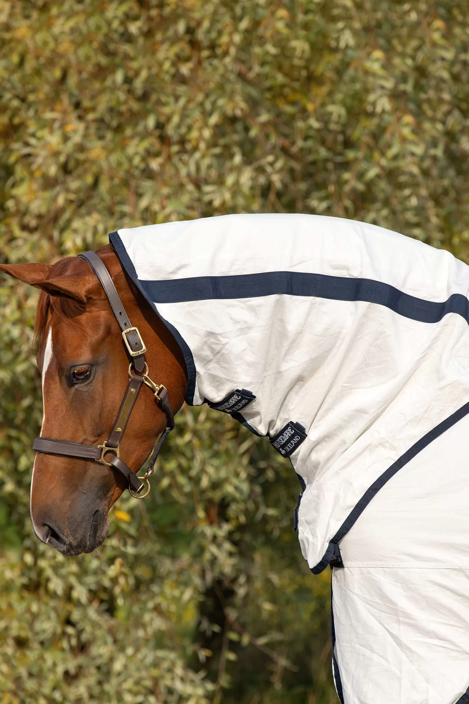 horseware Rambo Natura Fly Rug> Fly Rugs