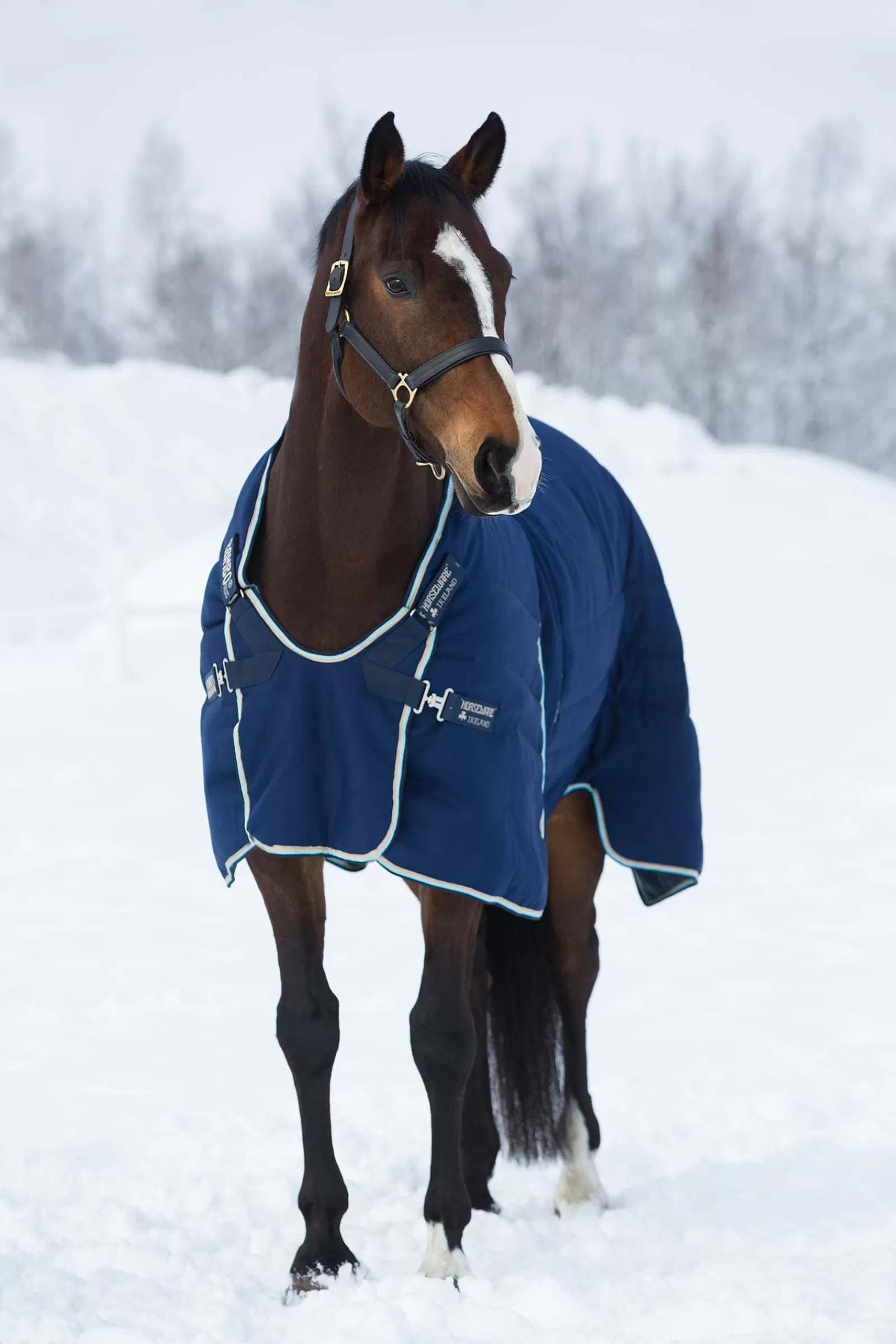 horseware Rambo Optimo Stable Rug, 400G> Stable Rugs & Liners