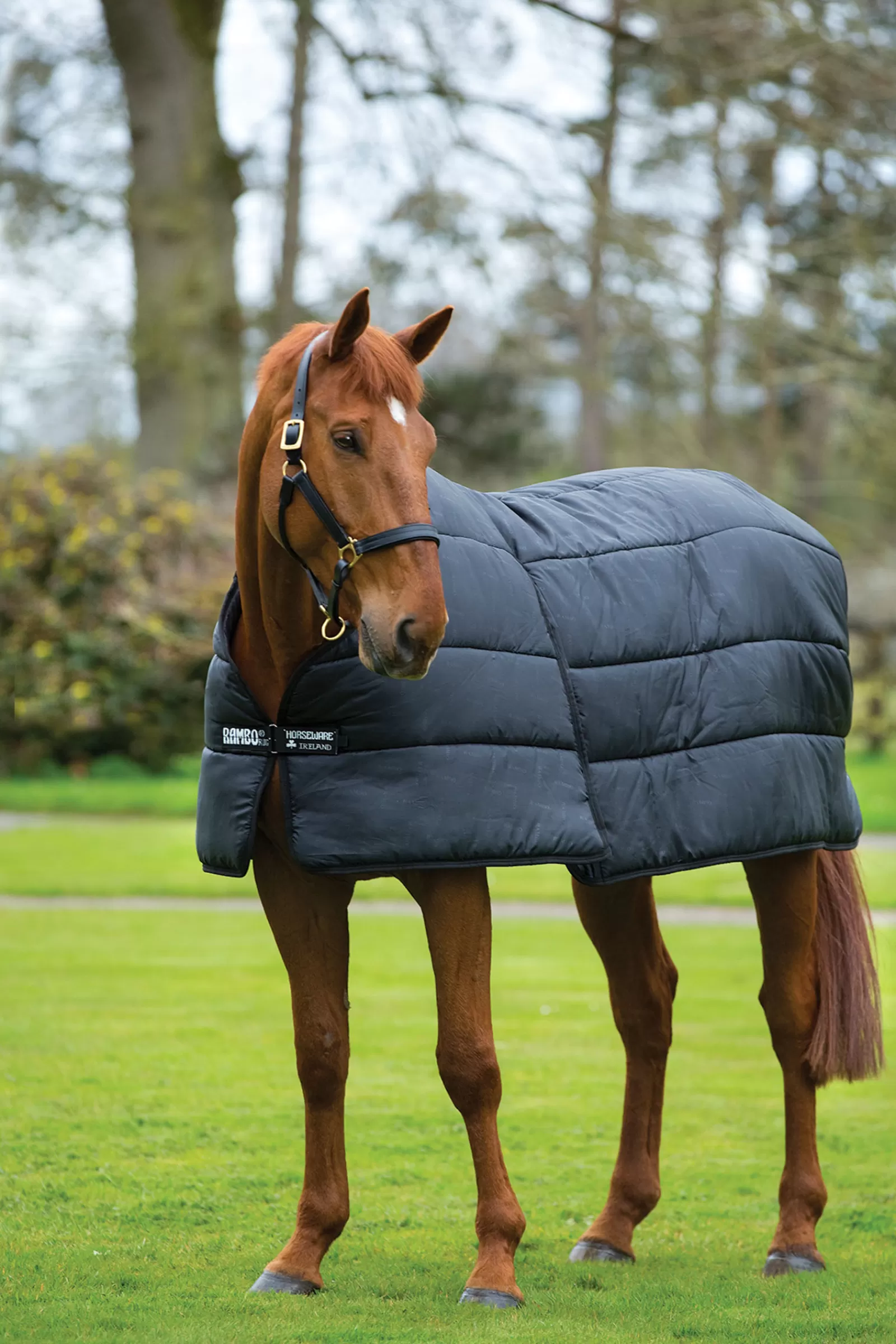 horseware Rambo Optimo Under Rug, 200G> Stable Rugs & Liners