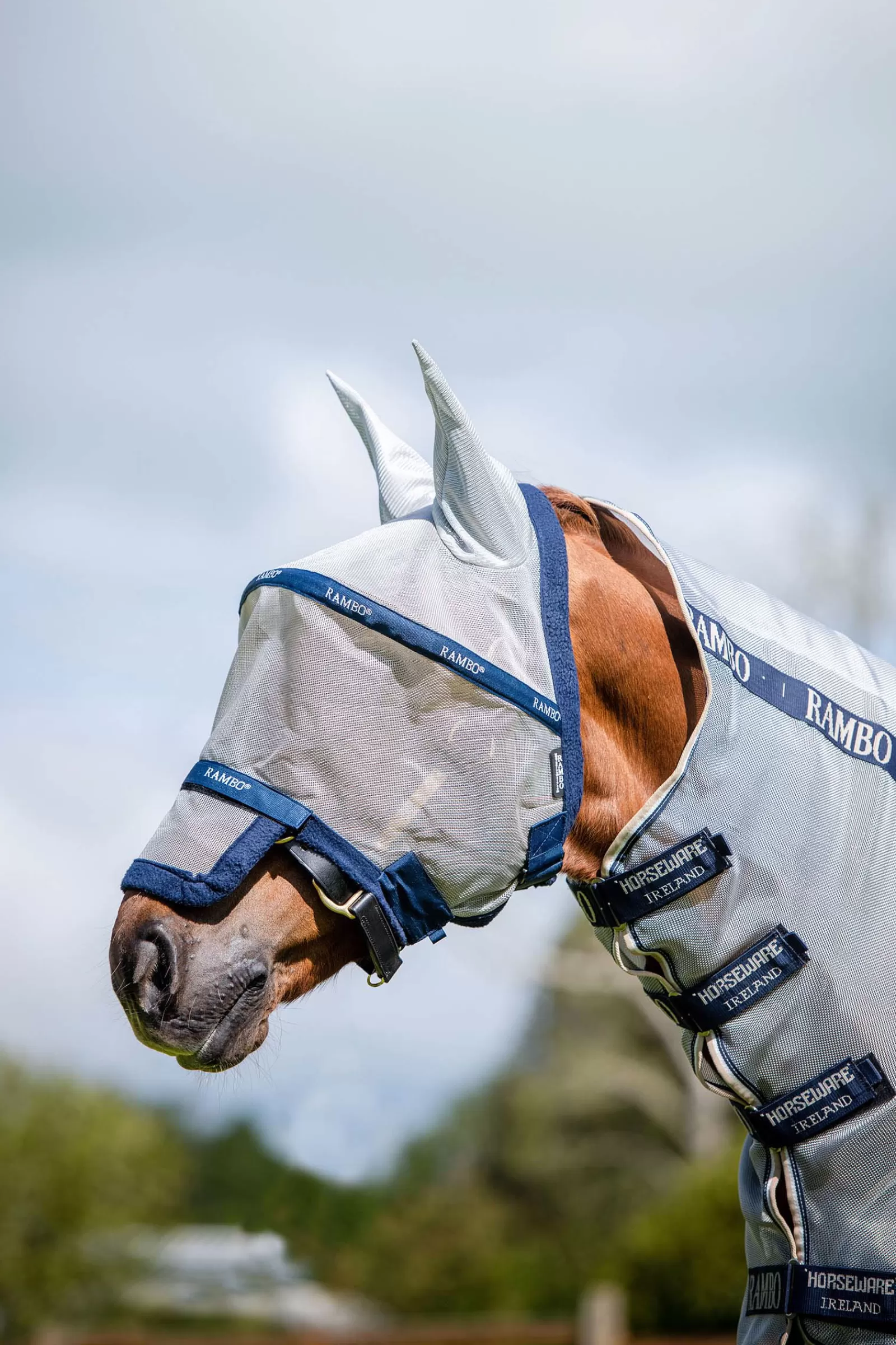 horseware Rambo Plus Flymask> Fly Masks & Fringes