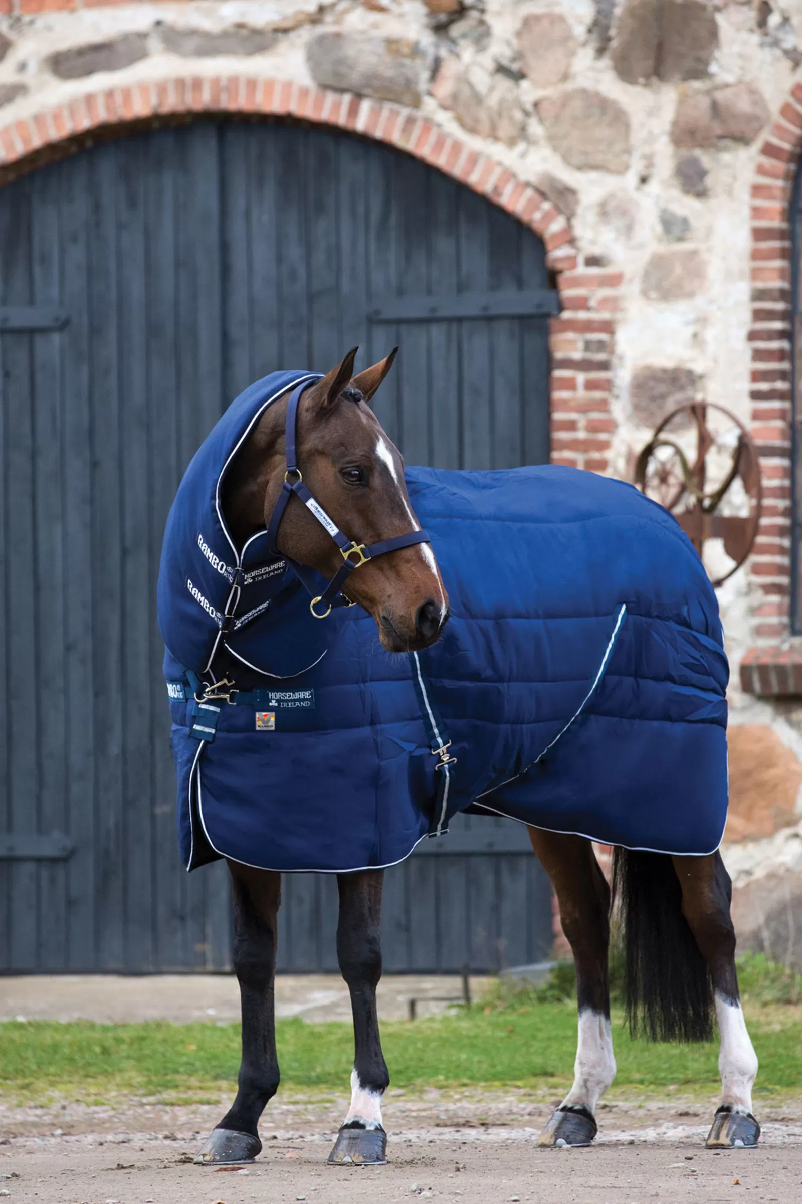 horseware Rambo Plus Vari-Layer Stable Rug With Detachable Neck, 450G> Stable Rugs & Liners