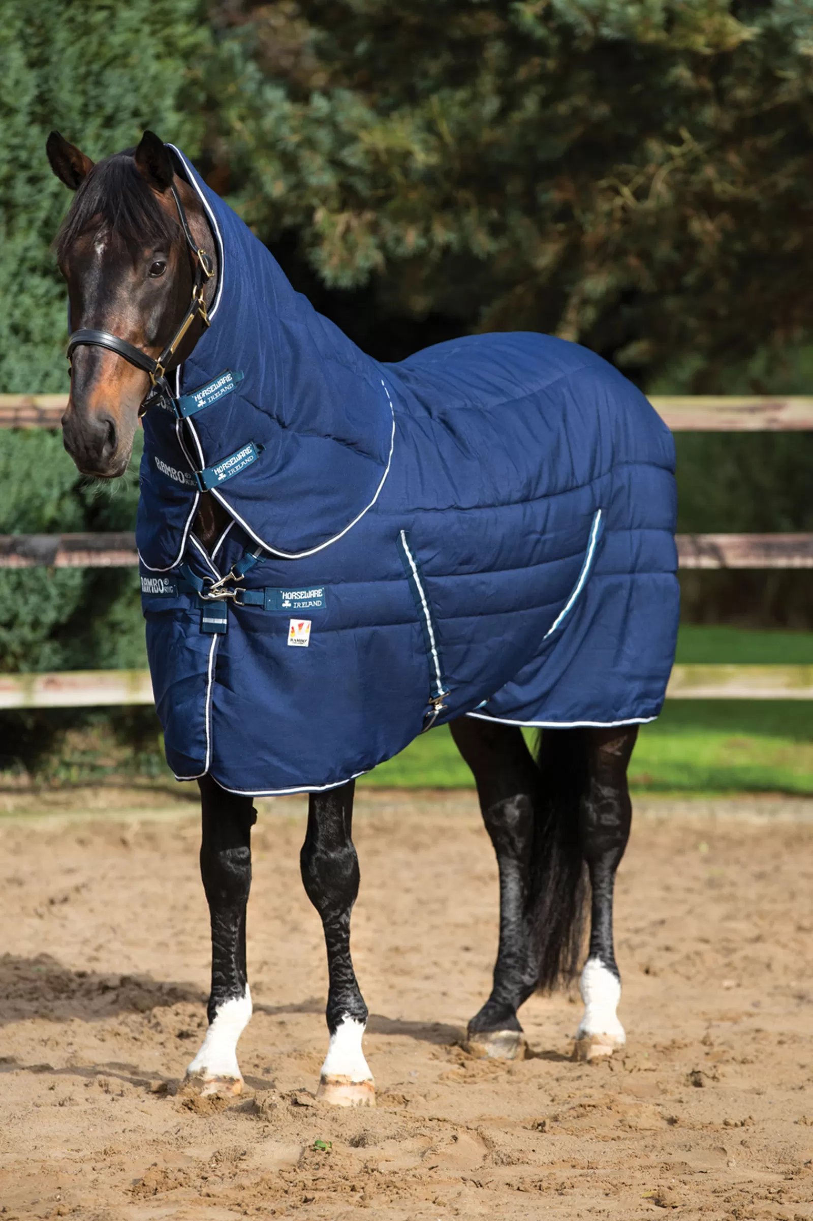 horseware Rambo Plus Vari-Layer Stable Rug With Detachable Neck, 450G> Stable Rugs & Liners