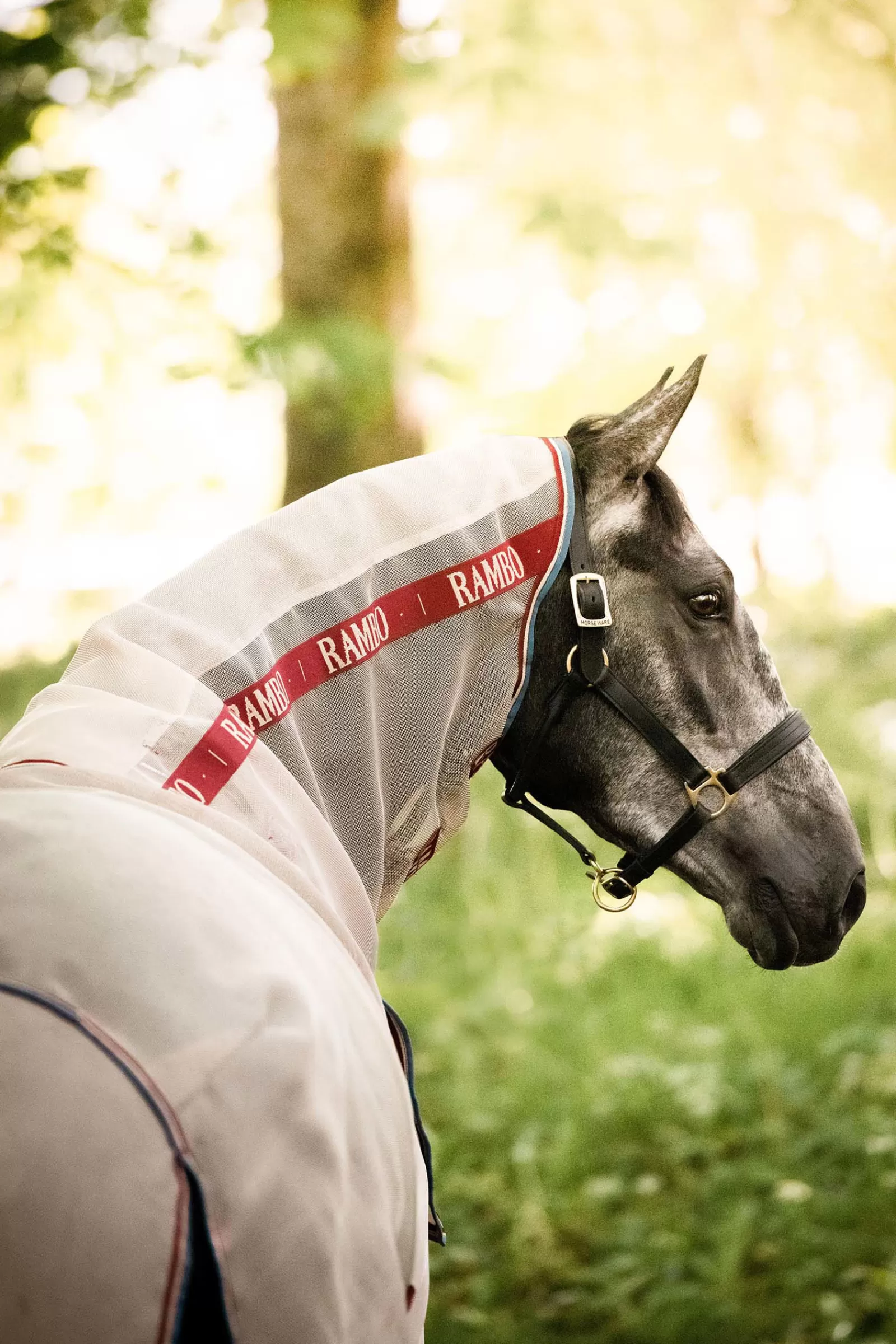 horseware Rambo Protector Disc Front Fly Rug> Fly Rugs