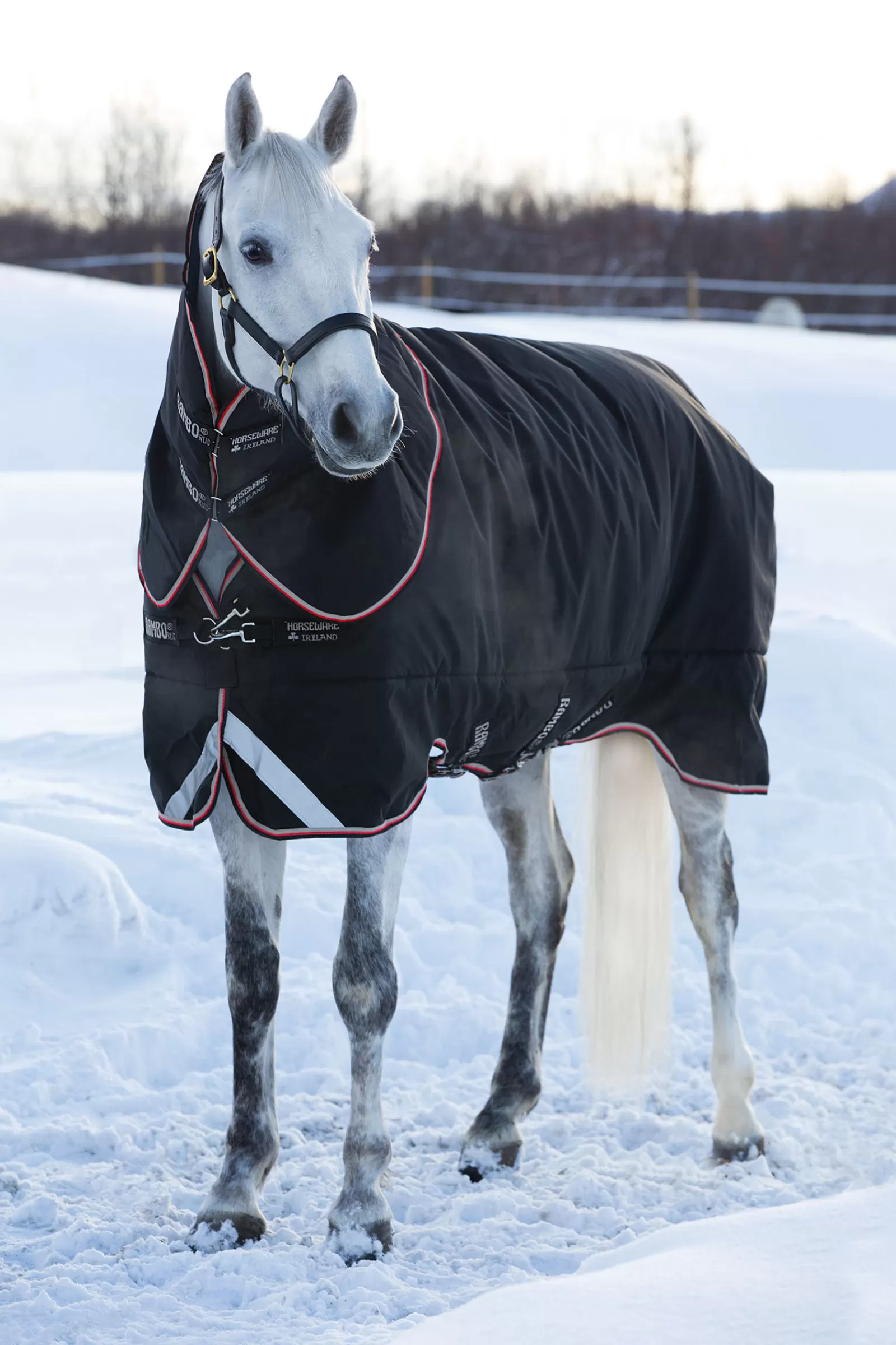 horseware Rambo Supreme Turnout Rug, 420G> Medium & Heavyweight Turnout Rugs