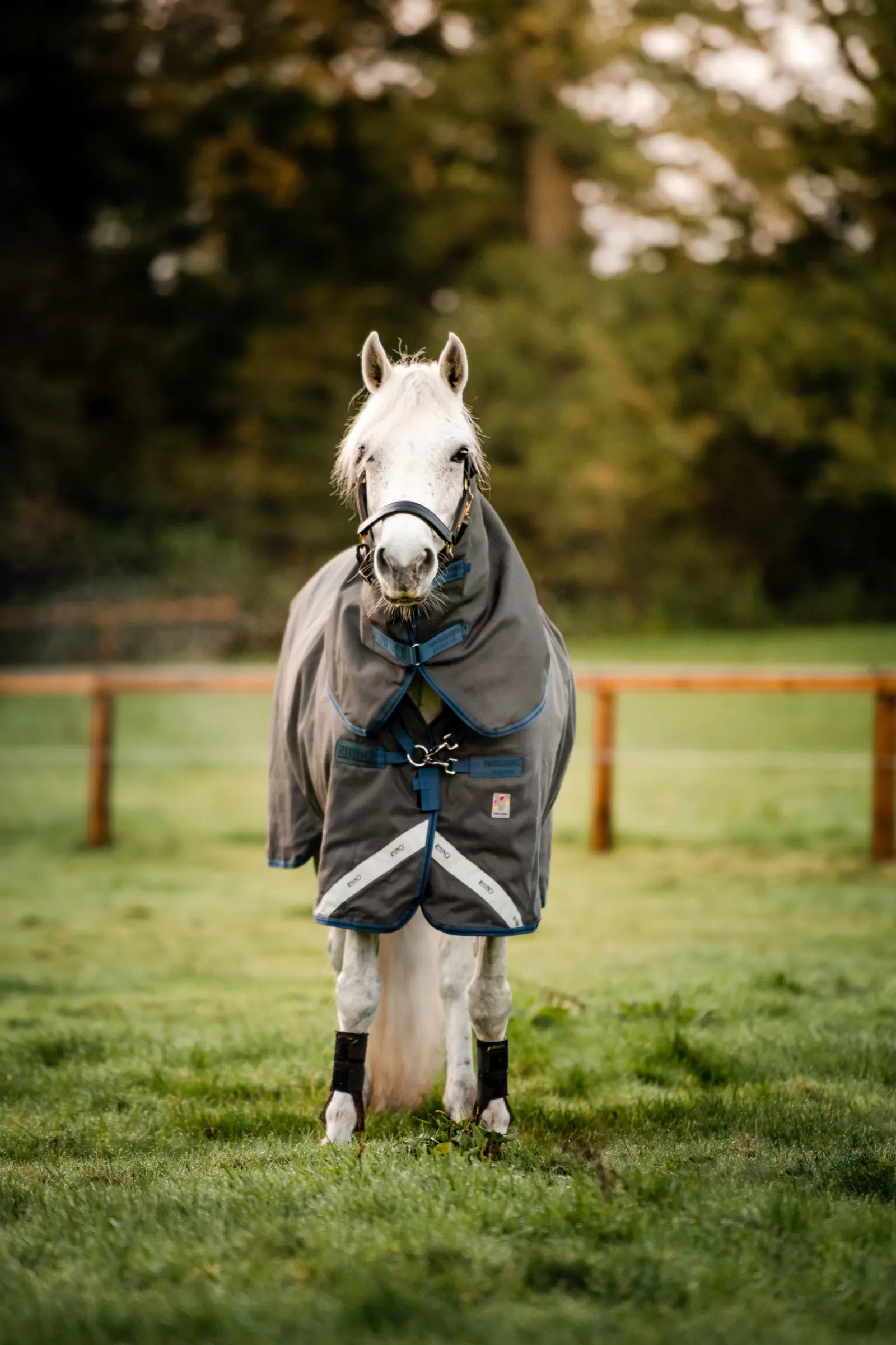 horseware Rhino Hexstop Plus Vari-Layer Turnout Rug, 250G> Medium & Heavyweight Turnout Rugs