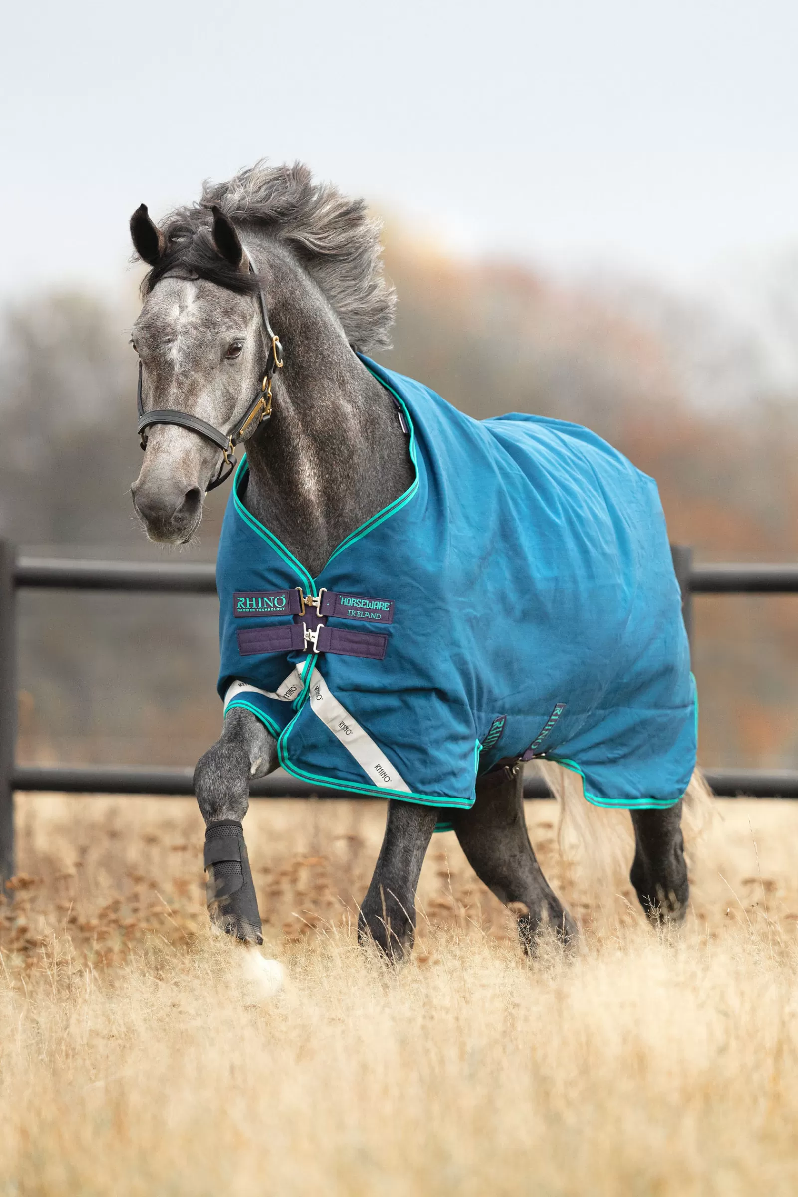 horseware Rhino Original Turnout Rug, 0G> Lightweight Turnout Rugs