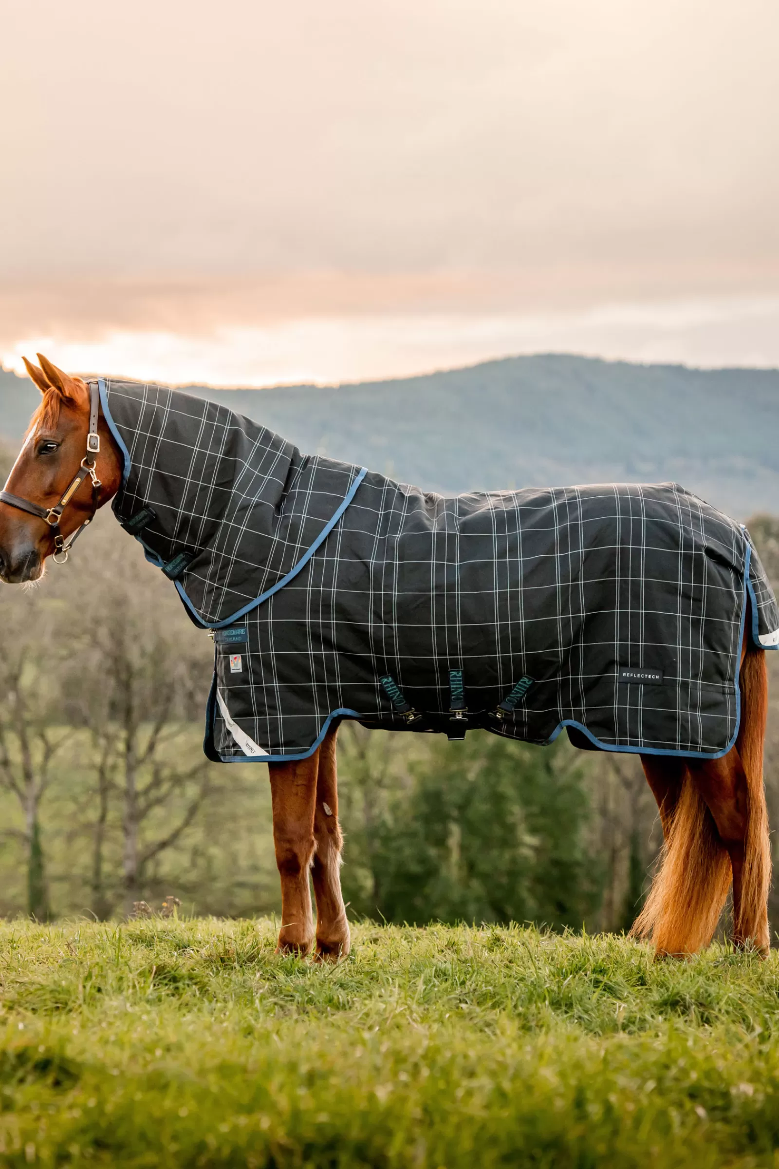 horseware Rhino Reflectech Plus Vari-Layer Turnout Rug Incl. Detachable Hood, 250G> Lightweight Turnout Rugs