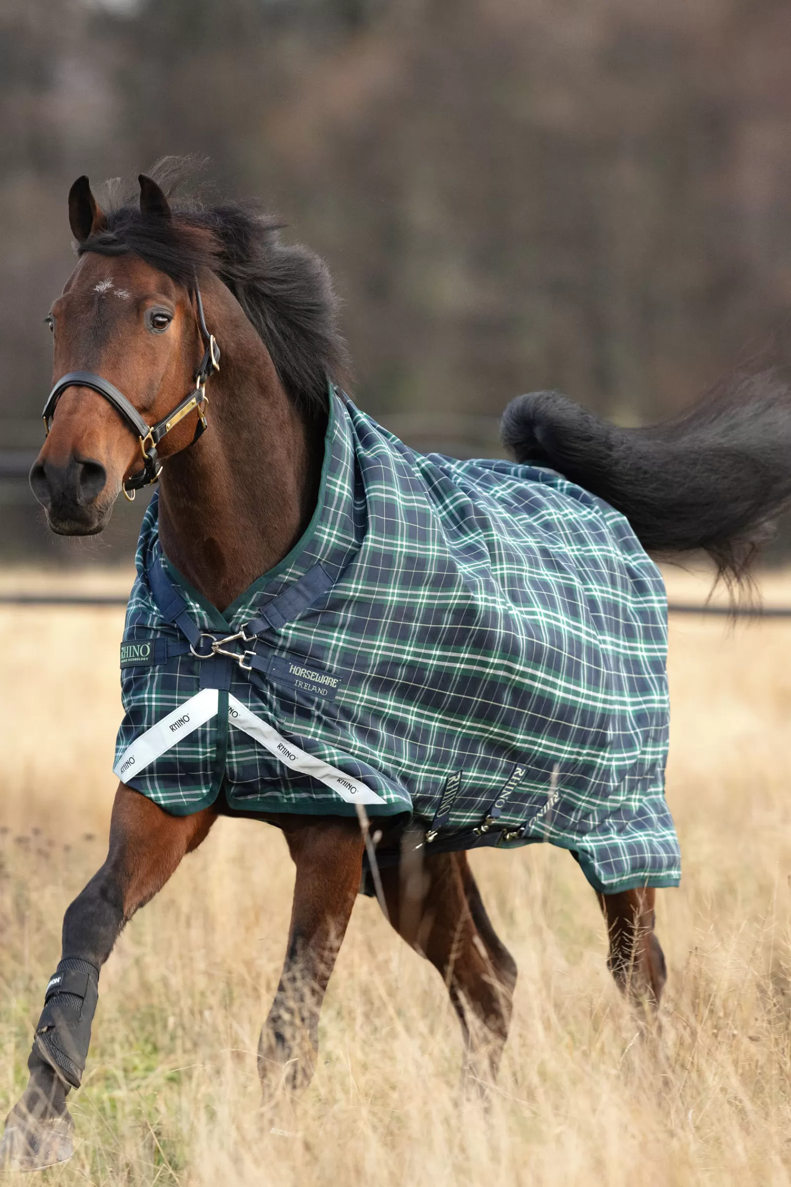 horseware Rhino Wug Turnout Rug With High Neck, 100G> Lightweight Turnout Rugs