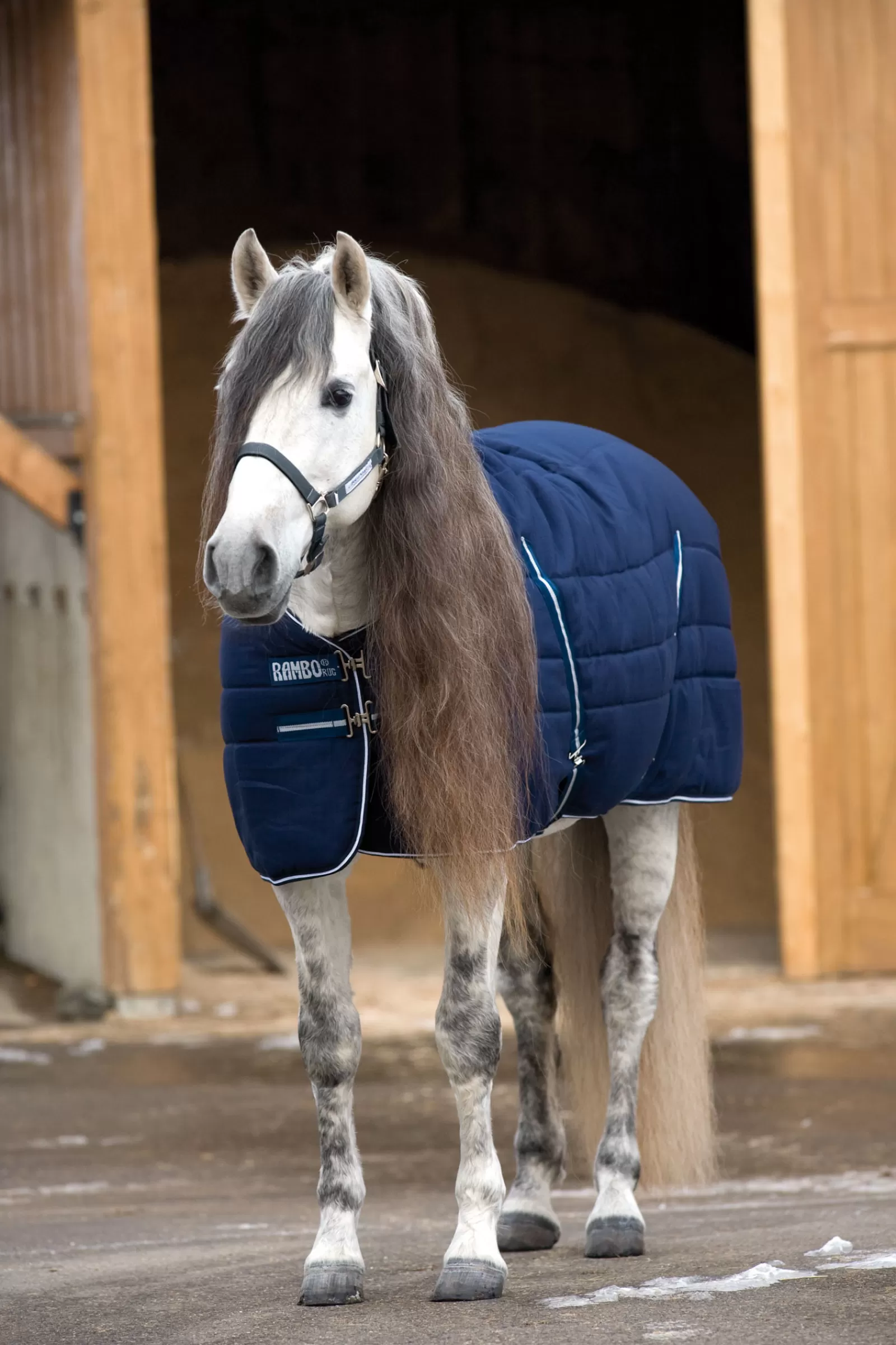 horseware Stable Rug Embossed Lining, 200G> Stable Rugs & Liners