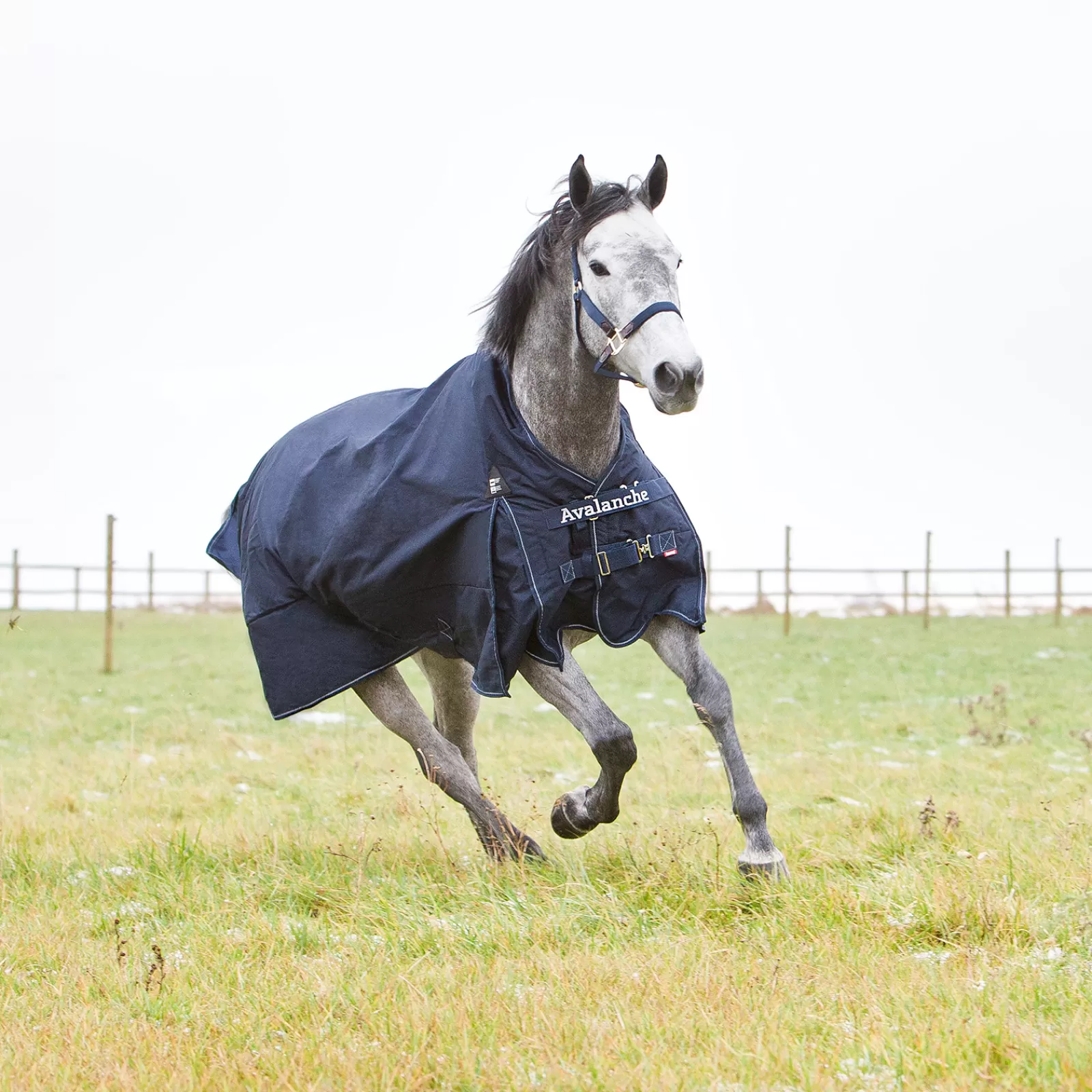 horze Avalanche 1200D Lite Medium Turnout With Fleece> Lightweight Turnout Rugs