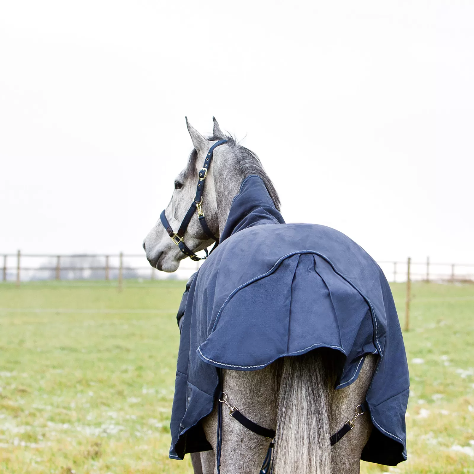 horze Avalanche 1200D Lite Medium Turnout With Fleece> Lightweight Turnout Rugs