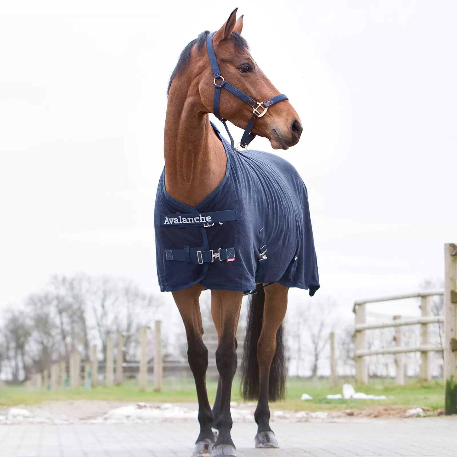 horze Avalanche Fleece Cooler> Fleece Horse Rugs & Cooler Rugs