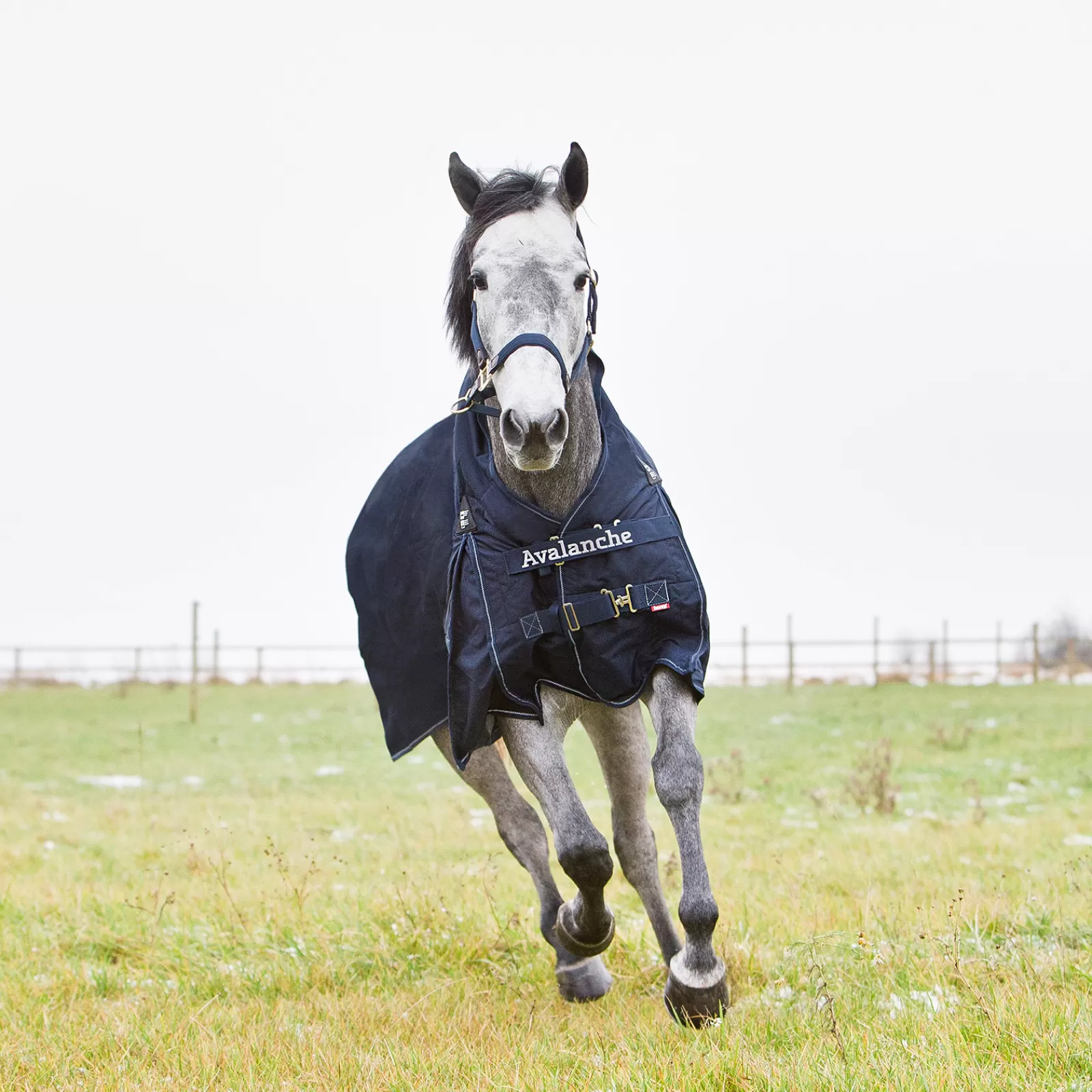 horze Avalanche Mid Season Rug 150G> Lightweight Turnout Rugs