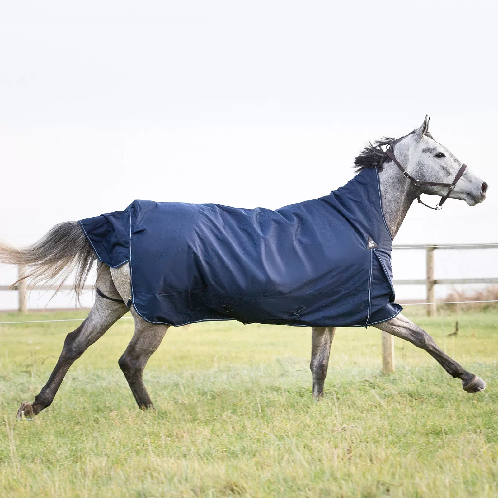 horze Avalanche Turnout Rug, 0G> Lightweight Turnout Rugs