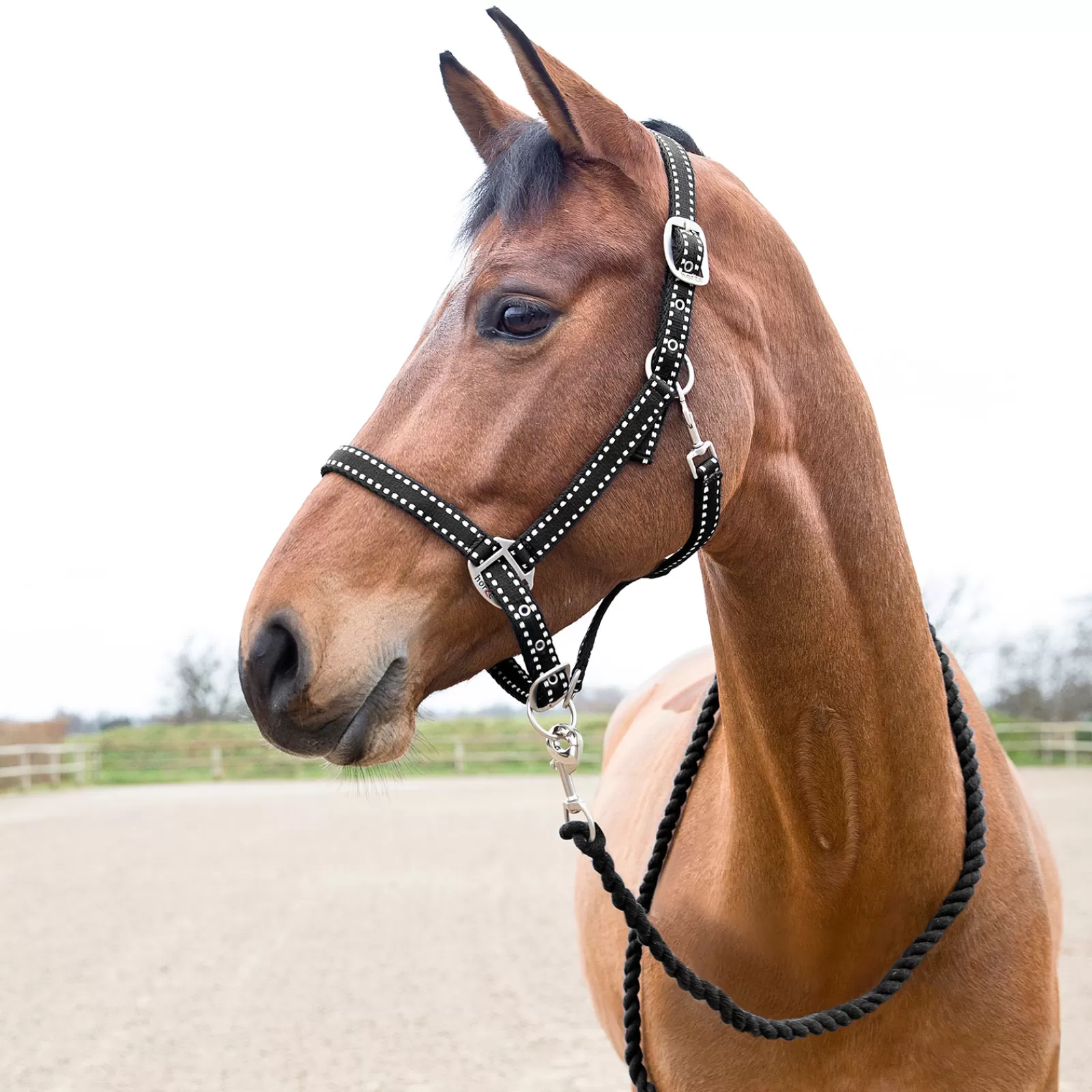 horze Cooper Halter And Lead Set> Headcollars & Halters