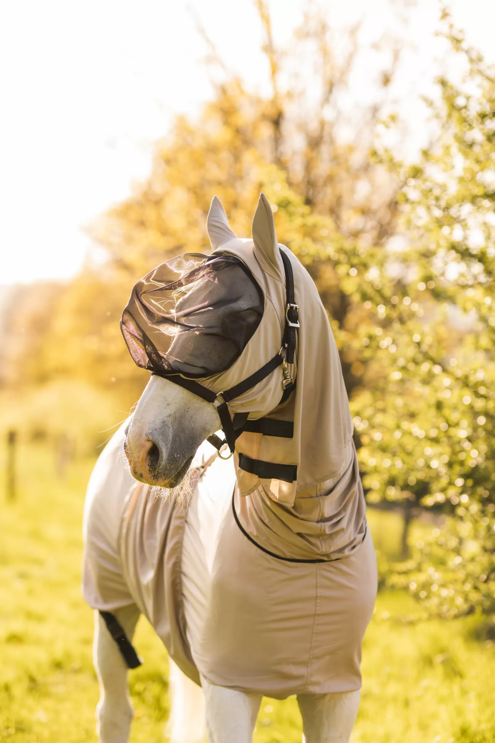 horze Eczema Mask> Fly Masks & Fringes