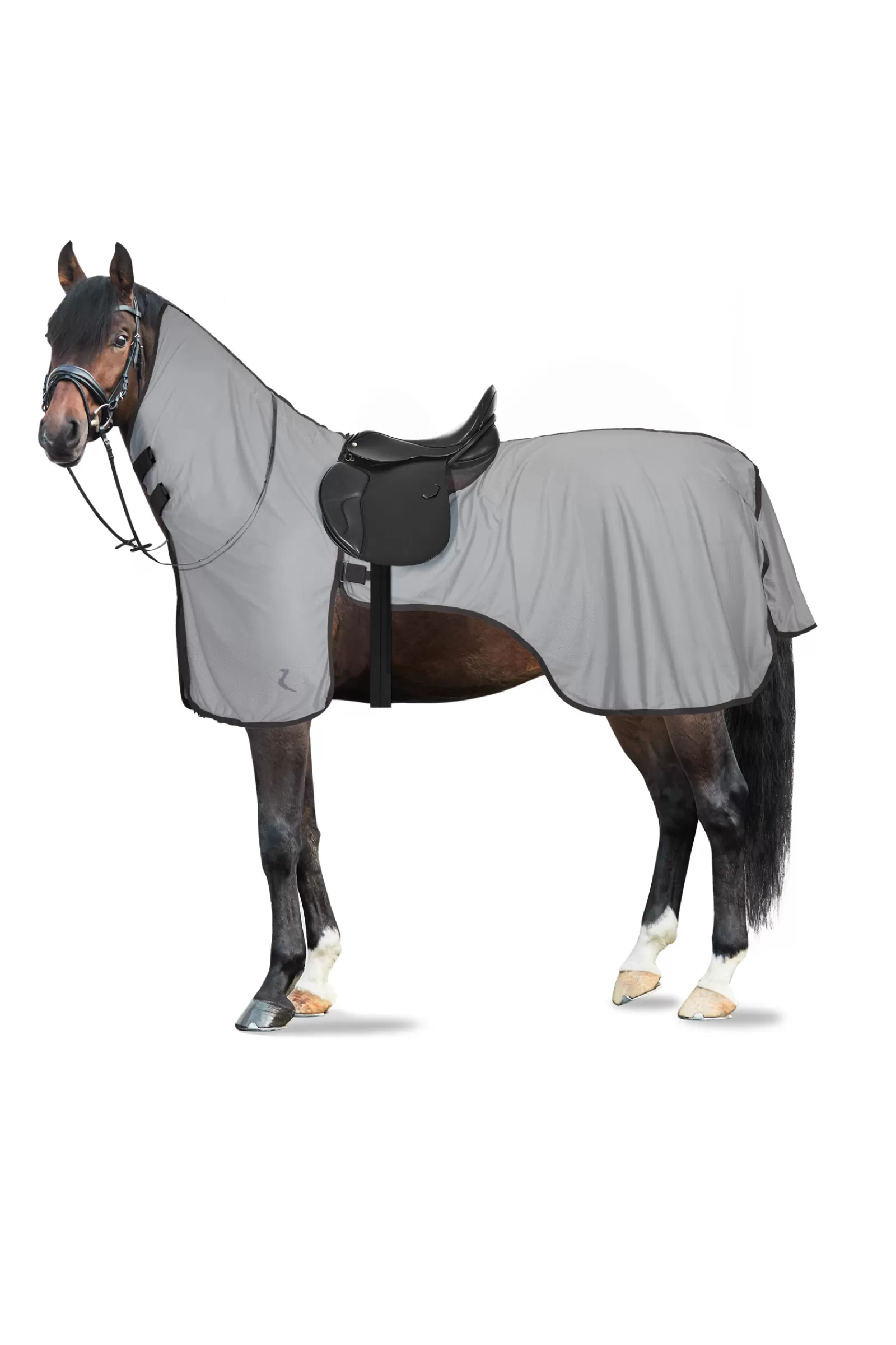 horze Eira Fly Riding Rug With Detachable Neck> Fly Rugs