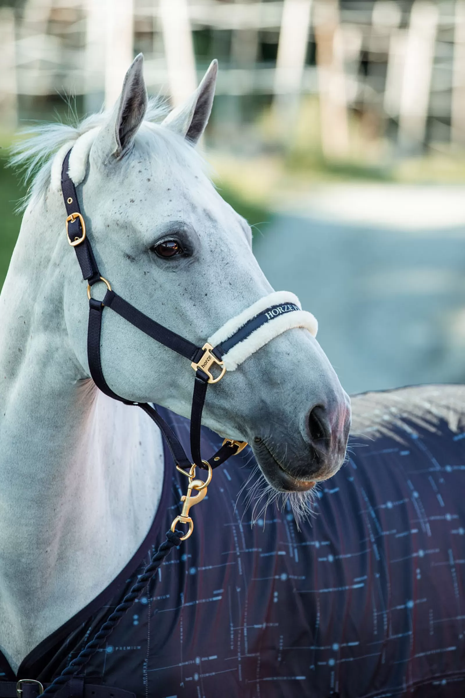 horze Fairfax Uv Sheet> Fleece Horse Rugs & Cooler Rugs