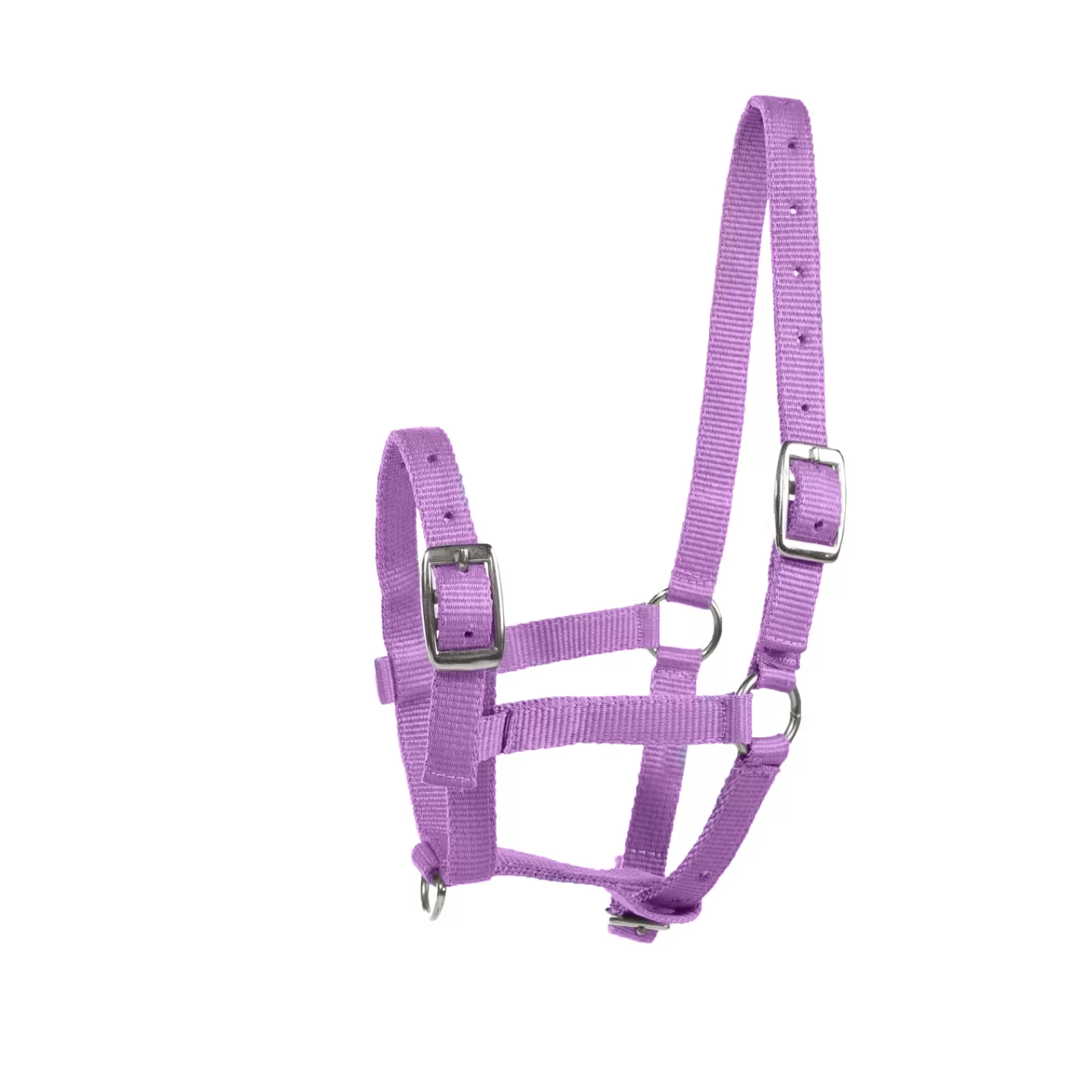 horze Foal Halter> Headcollars & Halters