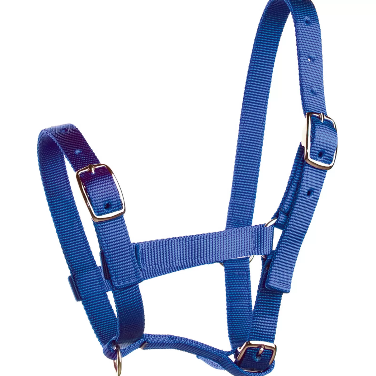 horze Foal Halter> Headcollars & Halters