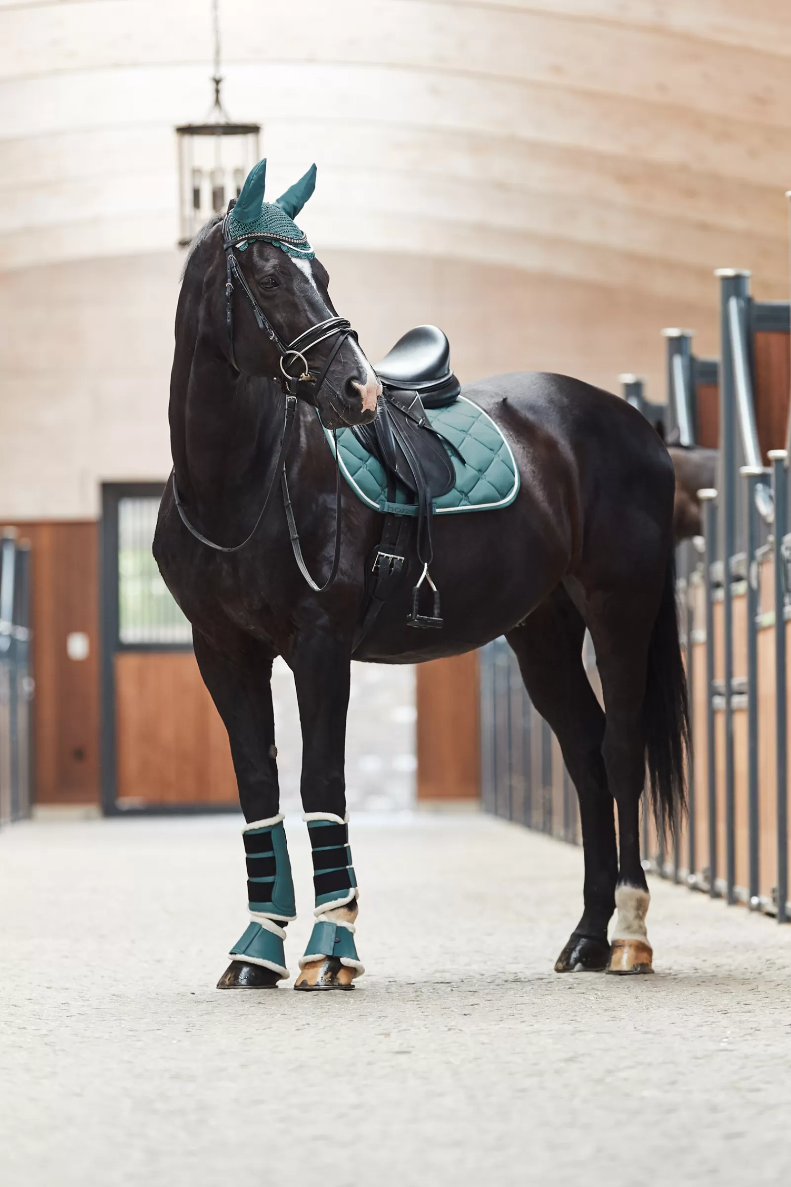 horze Ghent Dressage Saddle Pad With Faux Fur> Dressage Saddle Pads