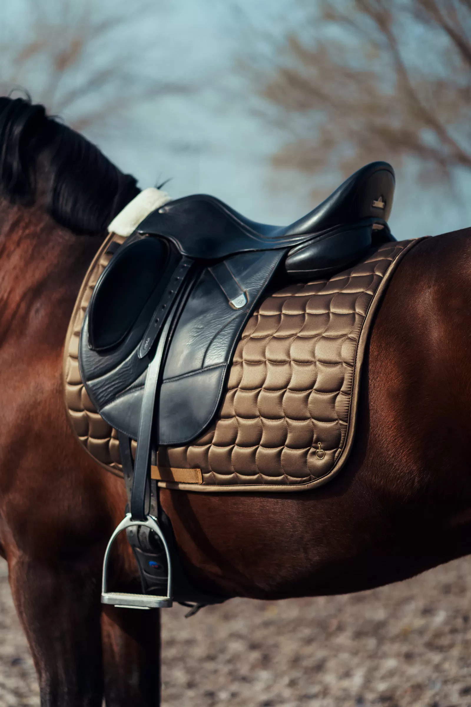 horze Houston Dressage Saddle Pad> Dressage Saddle Pads