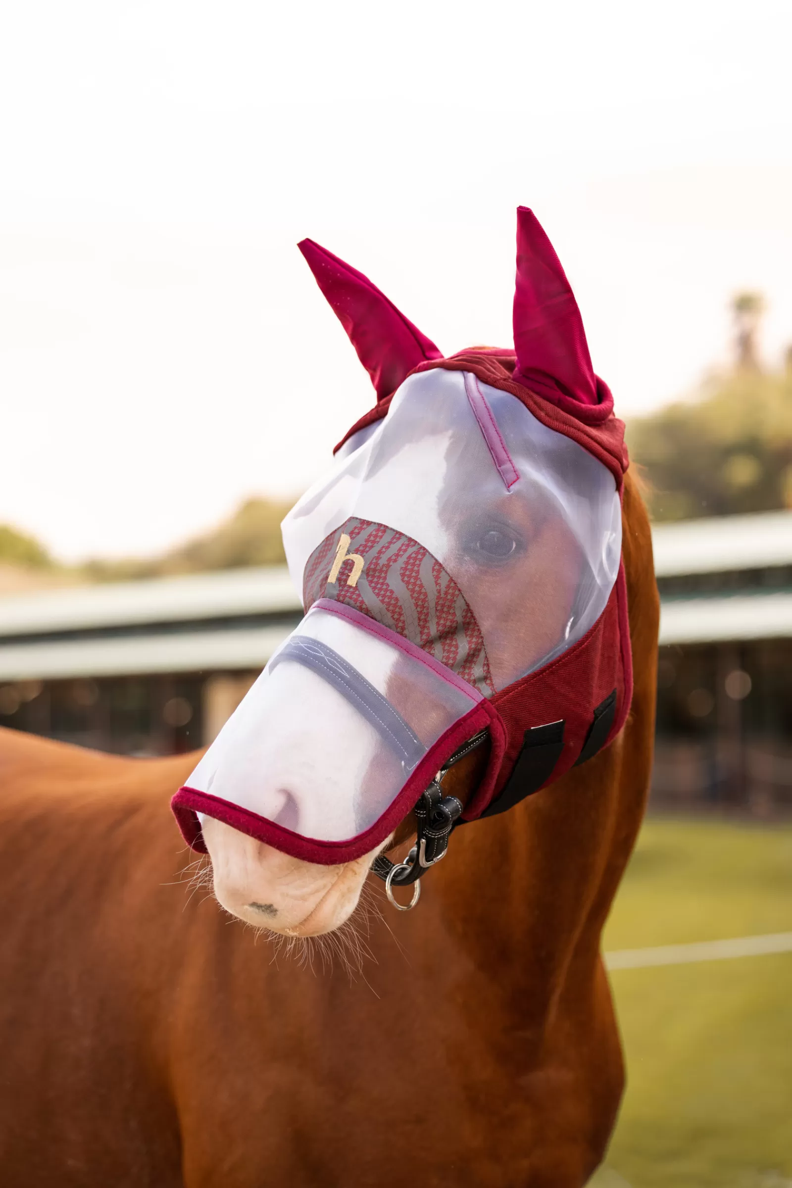 horze Kenya Fly Mask> Fly Masks & Fringes